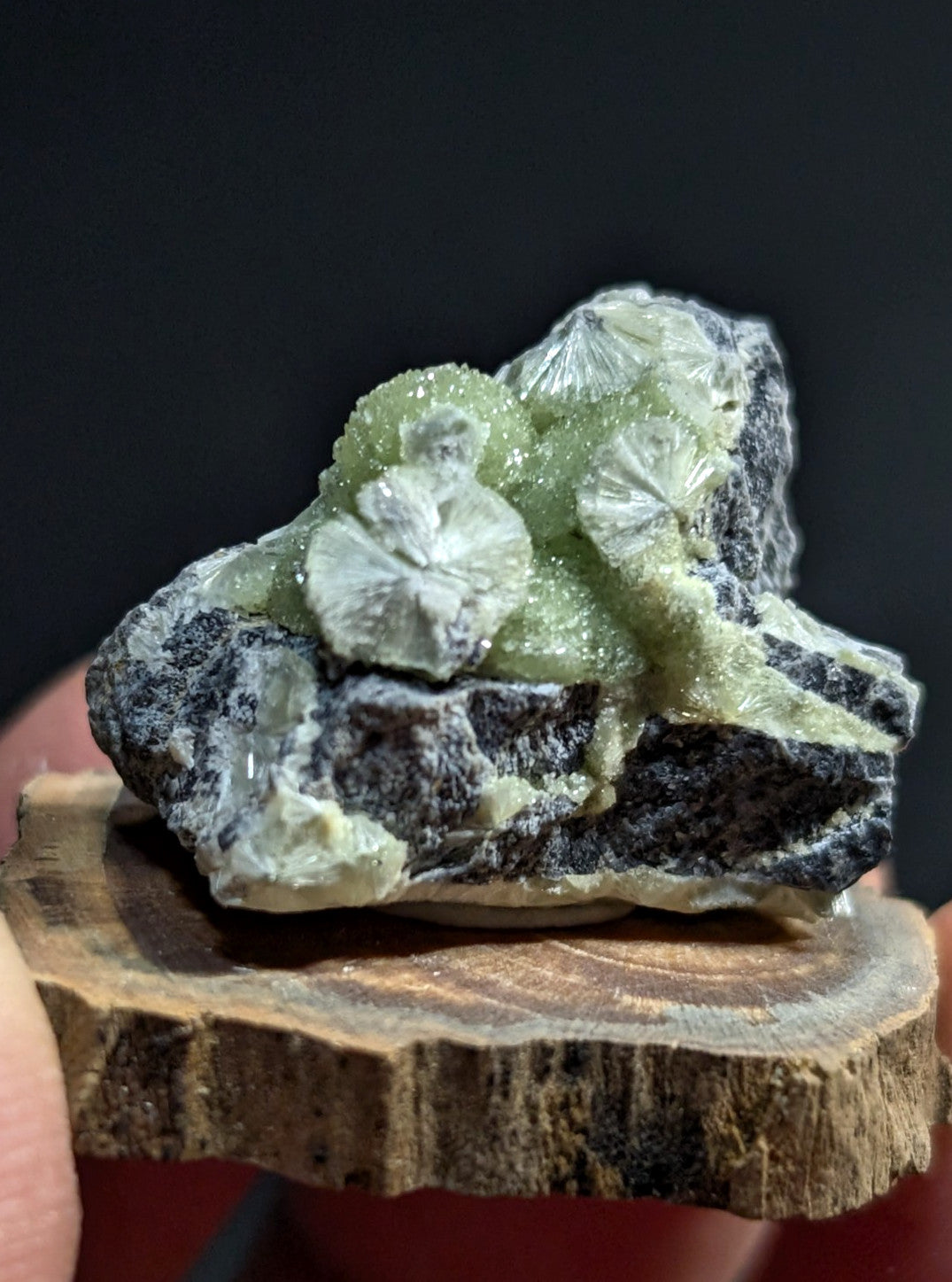 A striking green and black mineral specimen featuring delicate, fan-shaped crystals growing from a rugged rock base.