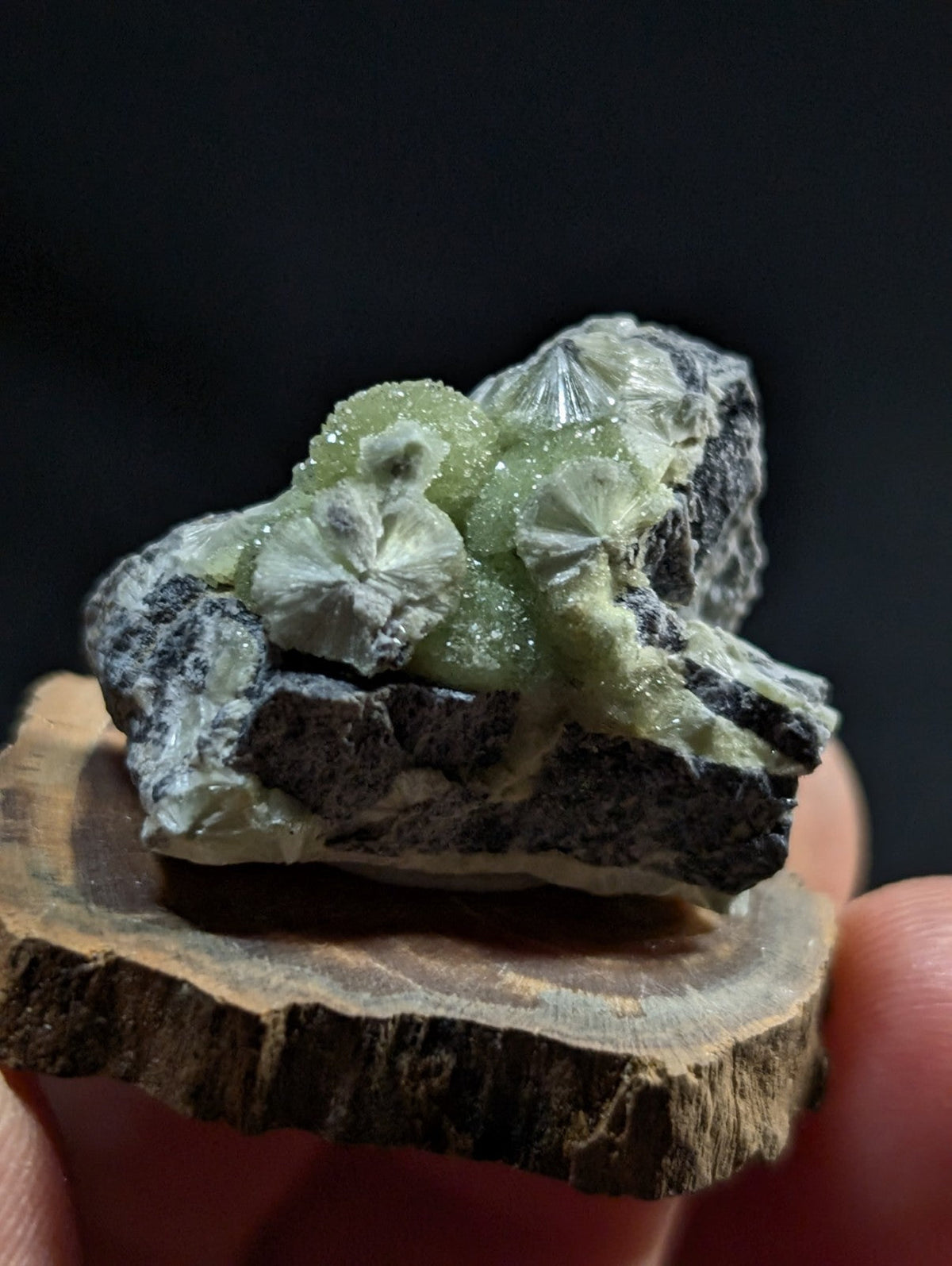 A cluster of translucent green crystals with a crystalline, faceted texture growing from dark gray rock.