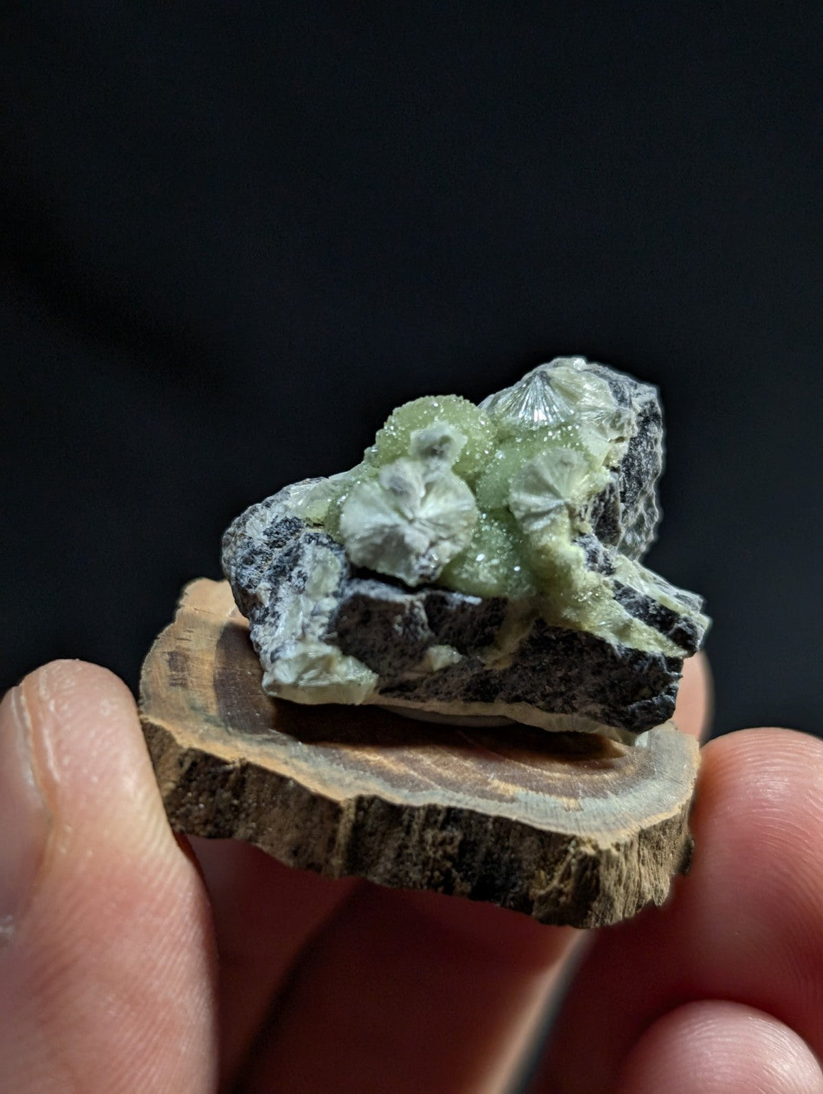 A delicate green mineral specimen with crystalline formations rests atop a rustic wooden slice, showcasing its natural beauty against a dark background.