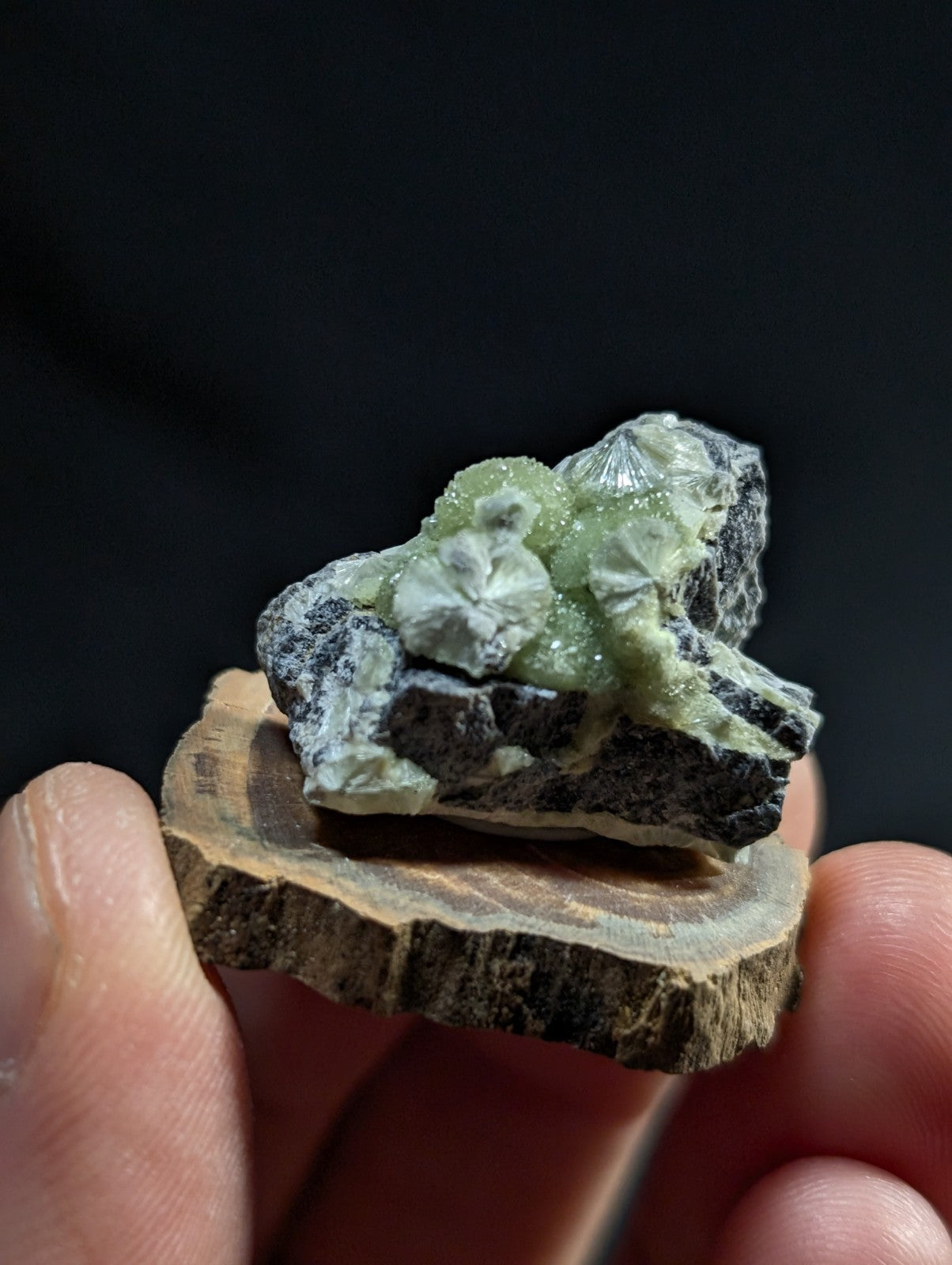 A delicate green mineral specimen with crystalline formations rests atop a rustic wooden slice, showcasing its natural beauty against a dark background.