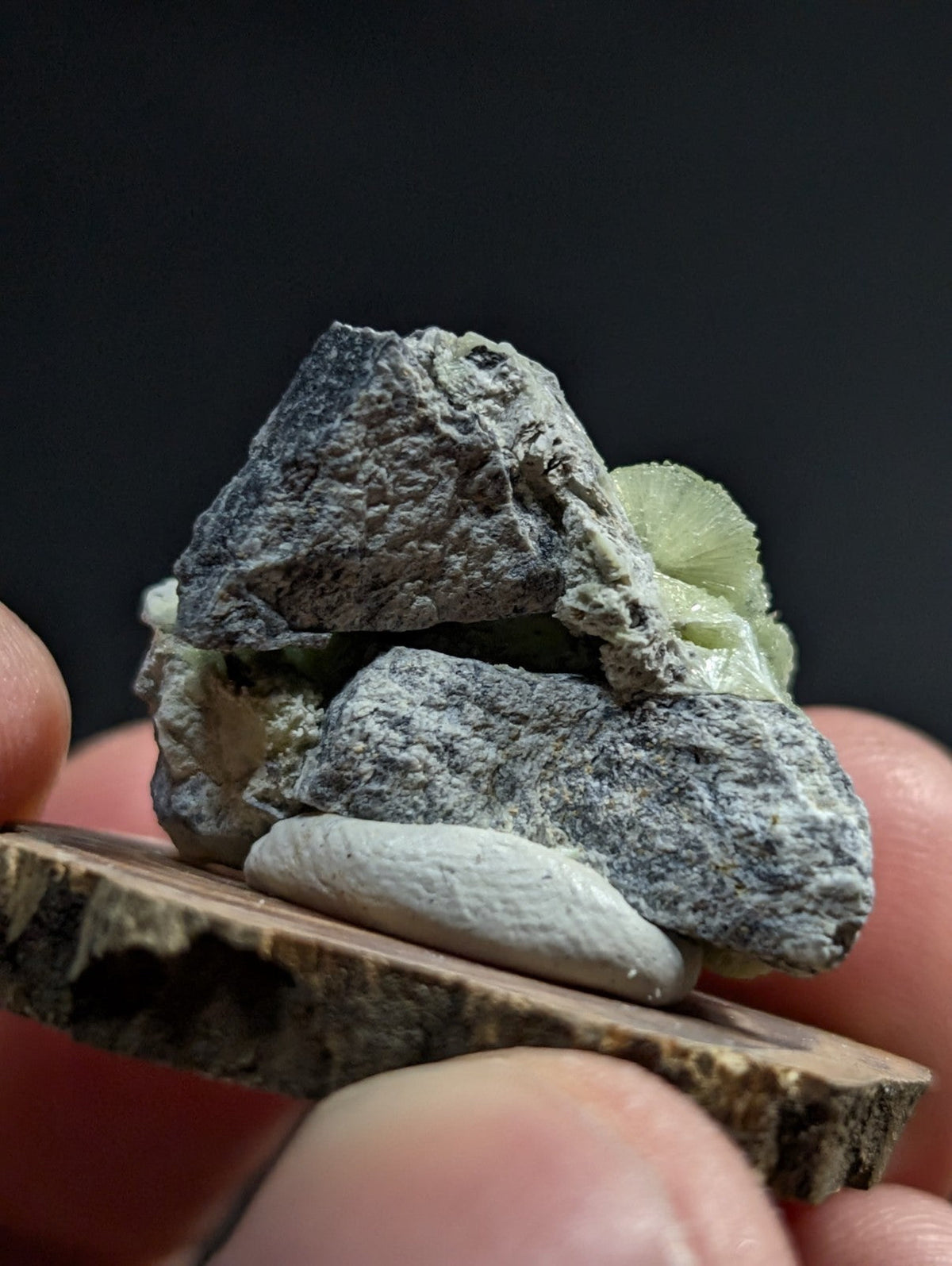 A natural mineral specimen featuring a gray, rough-textured rock with embedded pale green crystalline formations and a smooth white oval stone resting on a wooden slice.