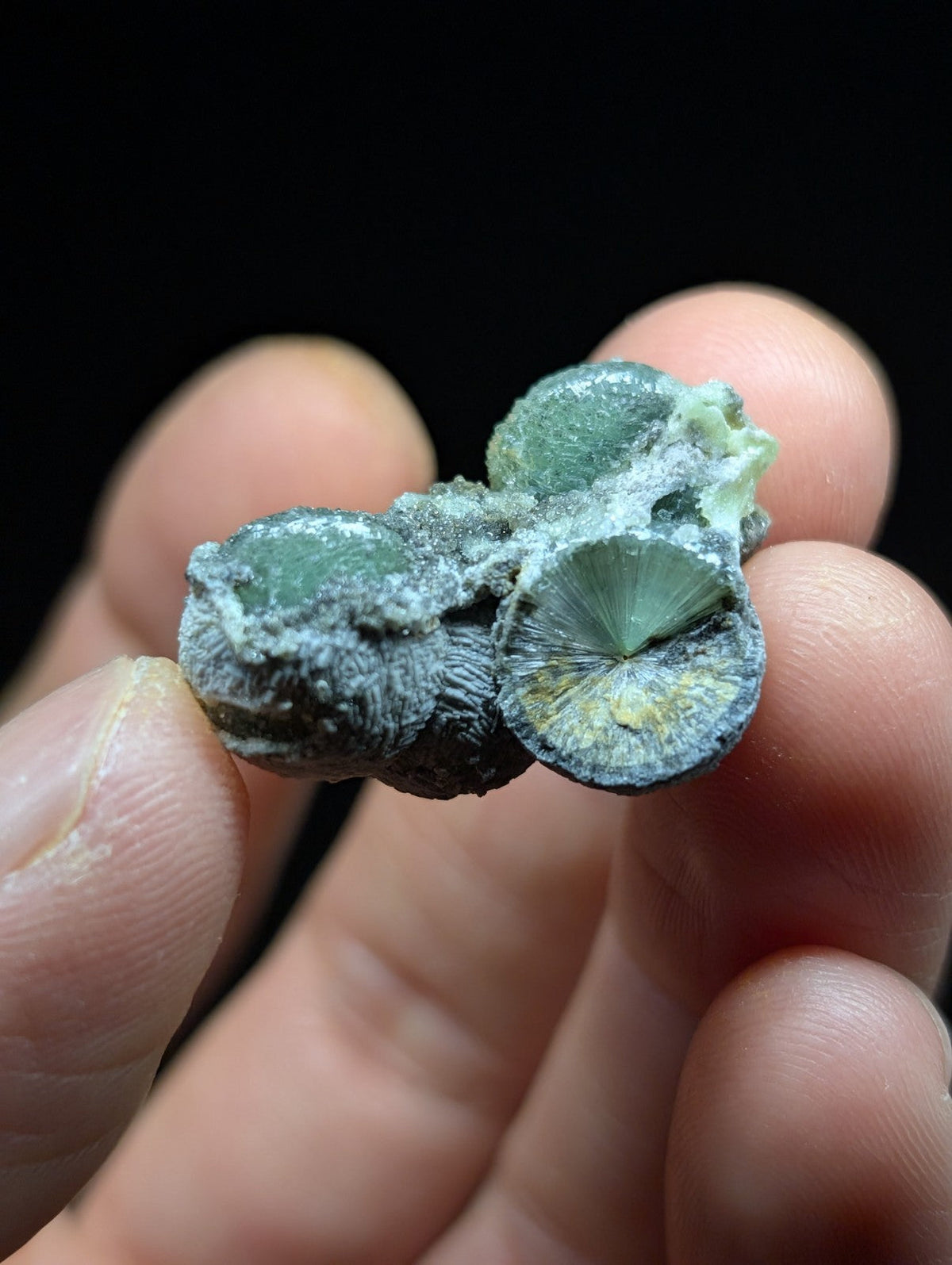 A hand holds a cluster of greenish-blue, naturally formed mineral specimens with textured surfaces and one displaying radial striations.
