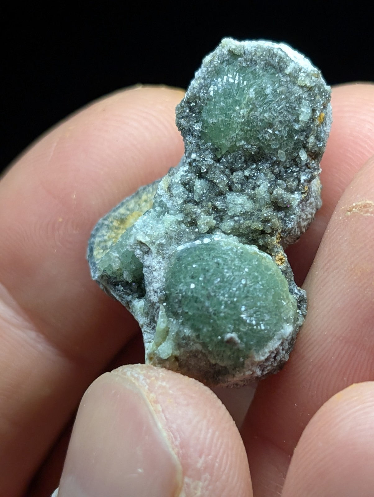 A rough, green mineral specimen with two prominent rounded crystals embedded in a textured matrix of grayish rock.