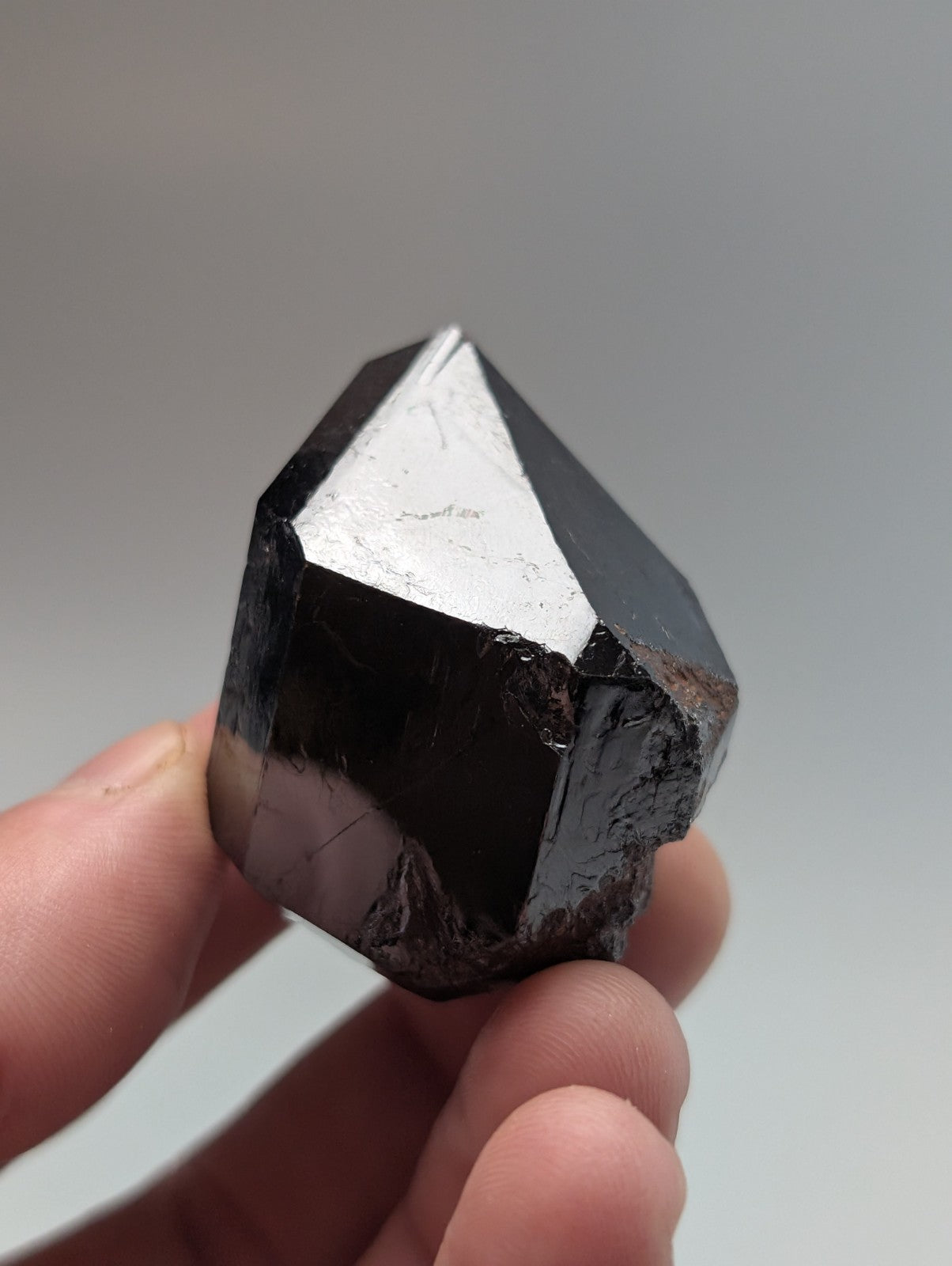 A polished black tourmaline crystal with a sharp, geometric point and reflective facets.