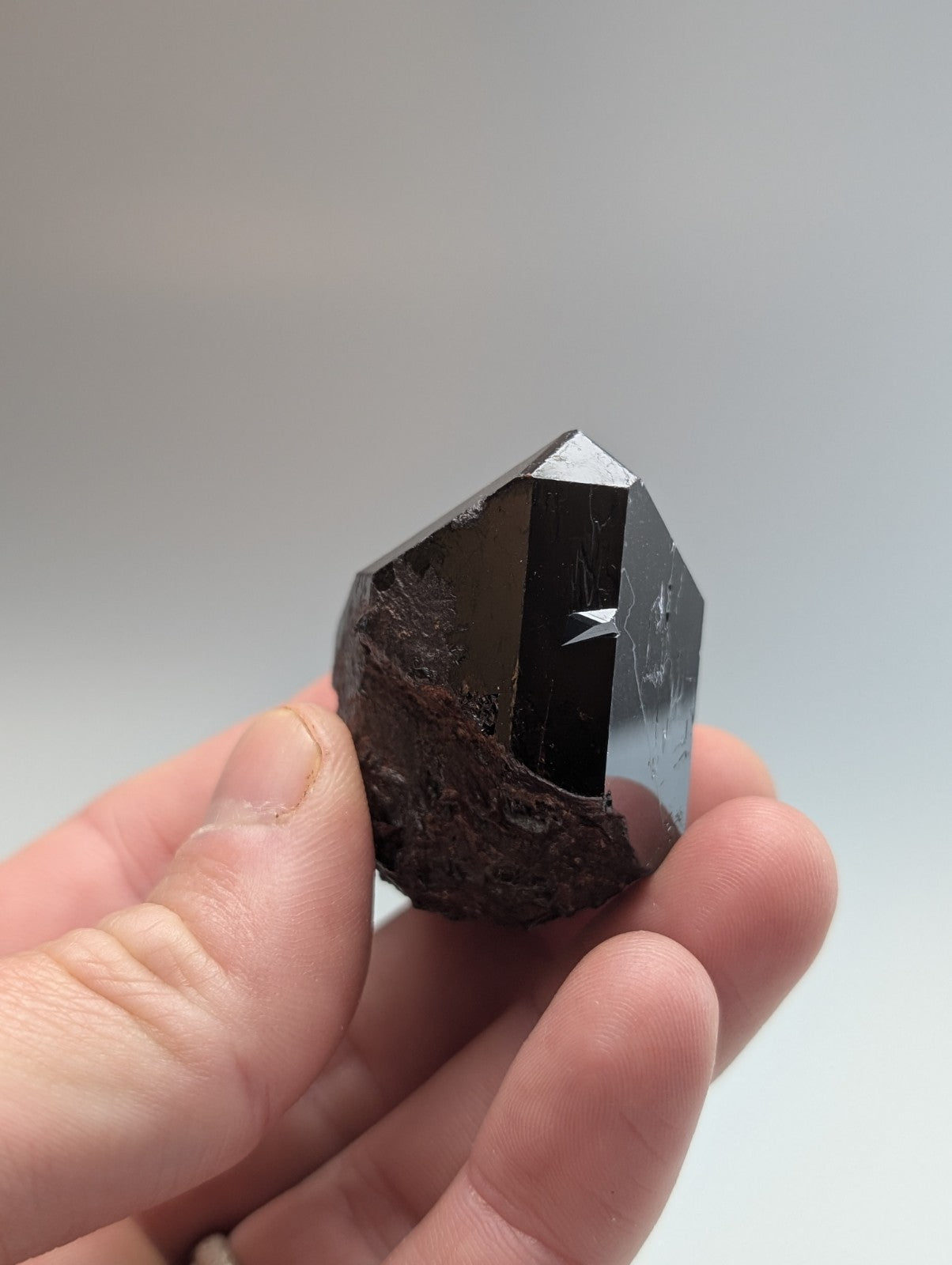 A polished black tourmaline crystal with a faceted, geometric shape and a rougher, earthy base.