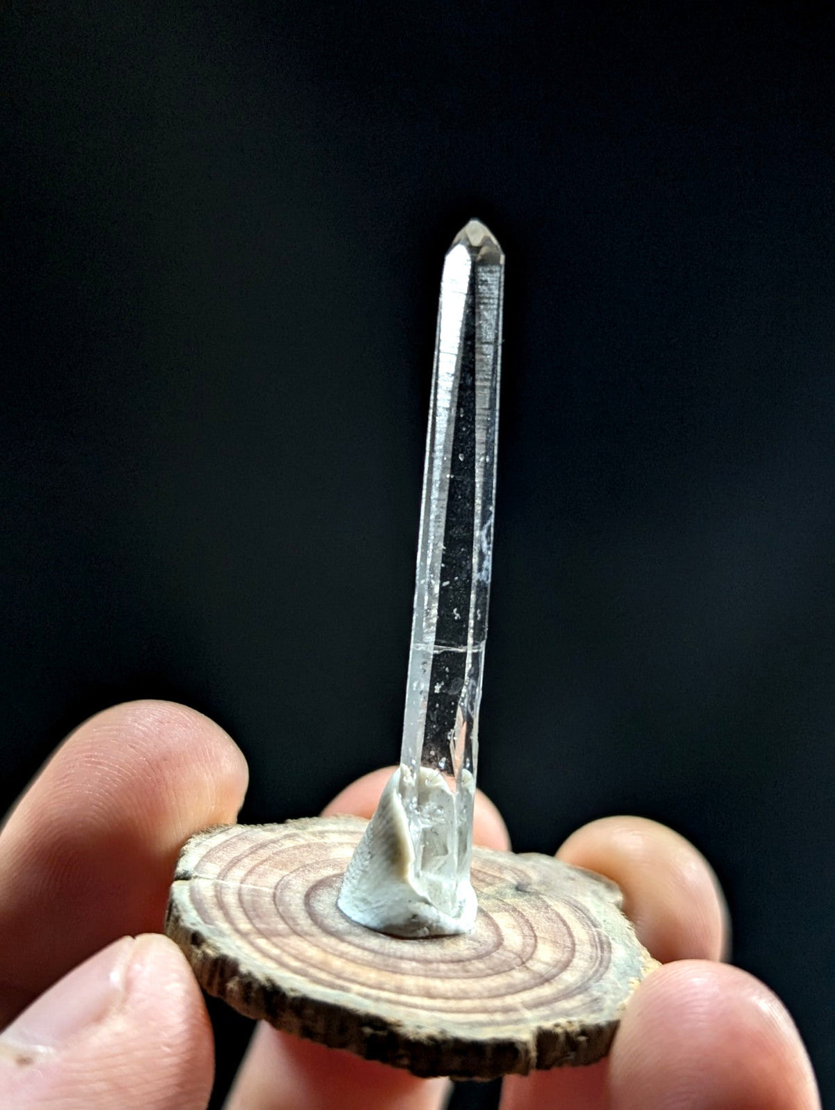 A clear quartz crystal with a pointed tip and visible internal striations, mounted on a circular wooden slice.