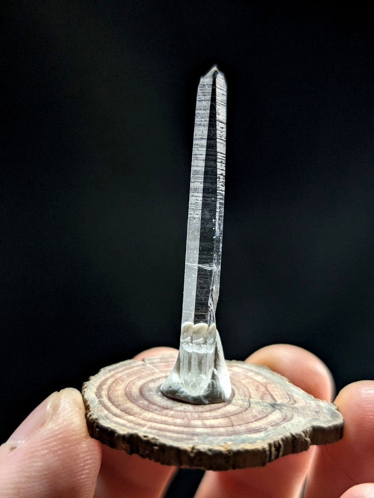 A clear, transparent quartz crystal with a pointed tip and visible internal striations stands upright on a circular wooden slice.