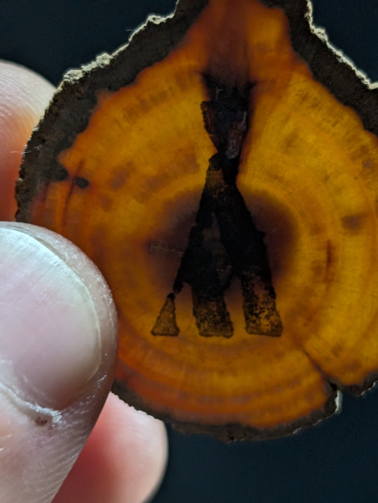 A hand holds a circular slice of orange and brown agate with concentric rings, featuring a dark, carved silhouette in the center.