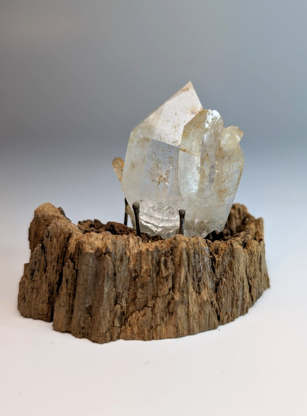 A clear faceted quartz crystal cluster mounted on a rustic wooden base from Garland County Arkansas