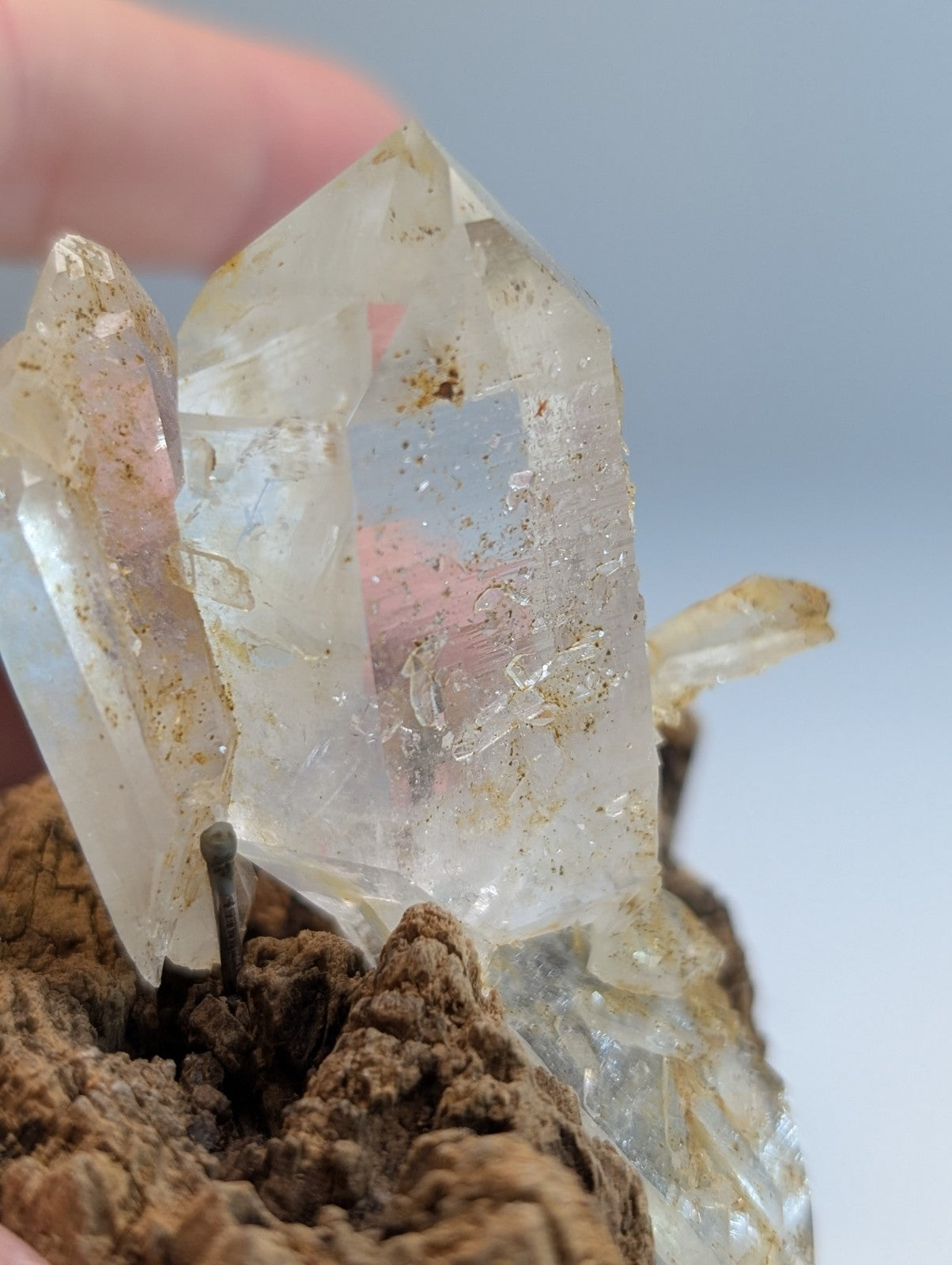 A+ museum grade quartz crystal cluster with translucent clear crystals and golden inclusions on a wood mount from arkansas