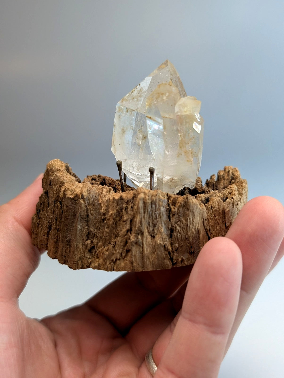 A clear faceted quartz crystal cluster mounted on a rustic wooden base from Garland County Arkansas