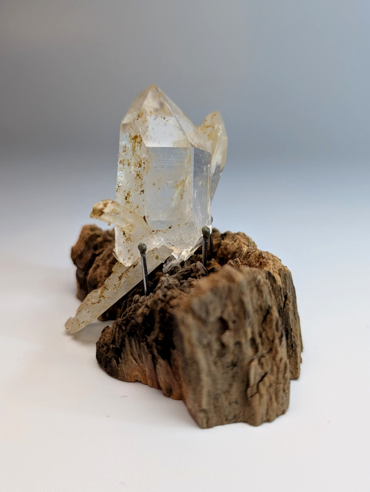 A clear quartz crystal cluster with a rustic wooden base mounted from garland county arkansas