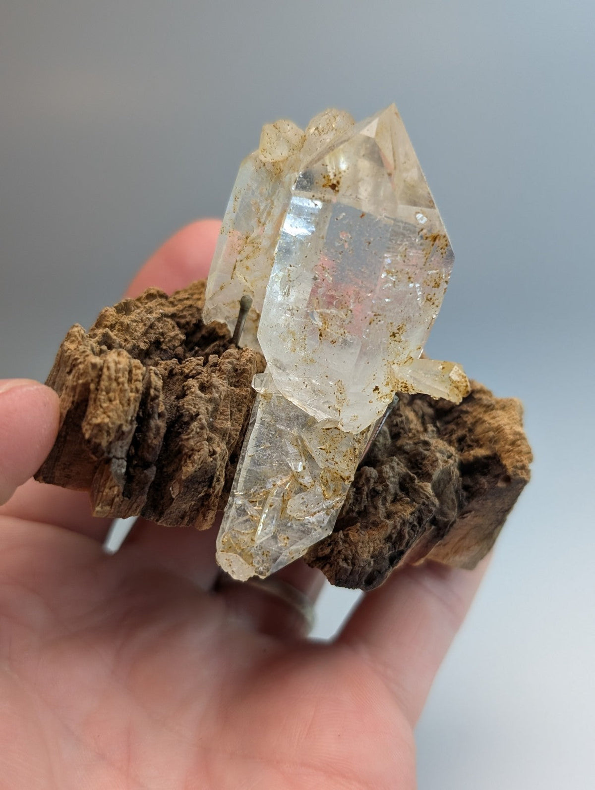 A clear quartz crystal cluster with natural brown matrix and golden inclusions on a wood mount from garland county arkansas