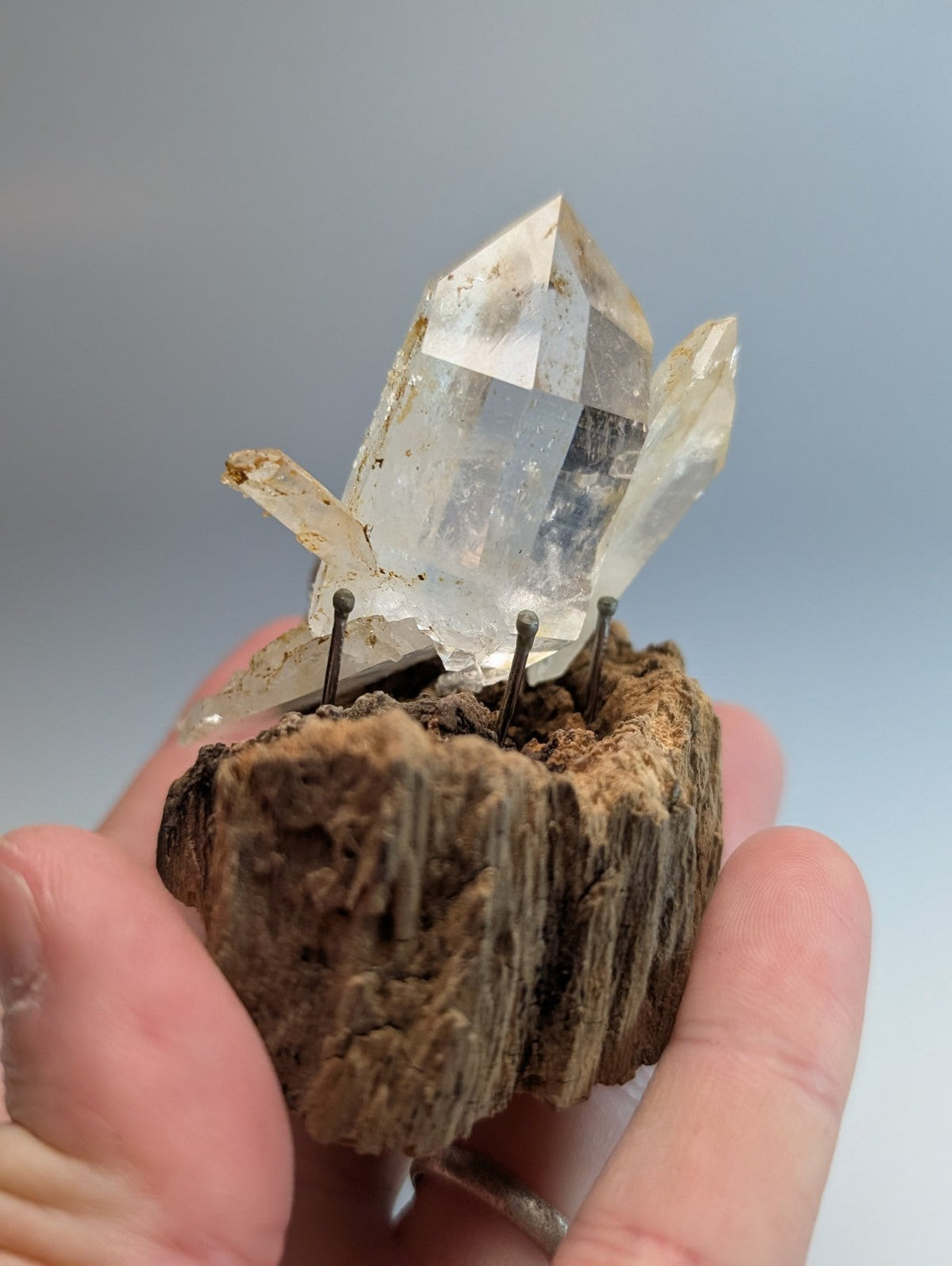 A clear faceted quartz crystal cluster with a rustic wood mount from garland county arkansas displayed upright