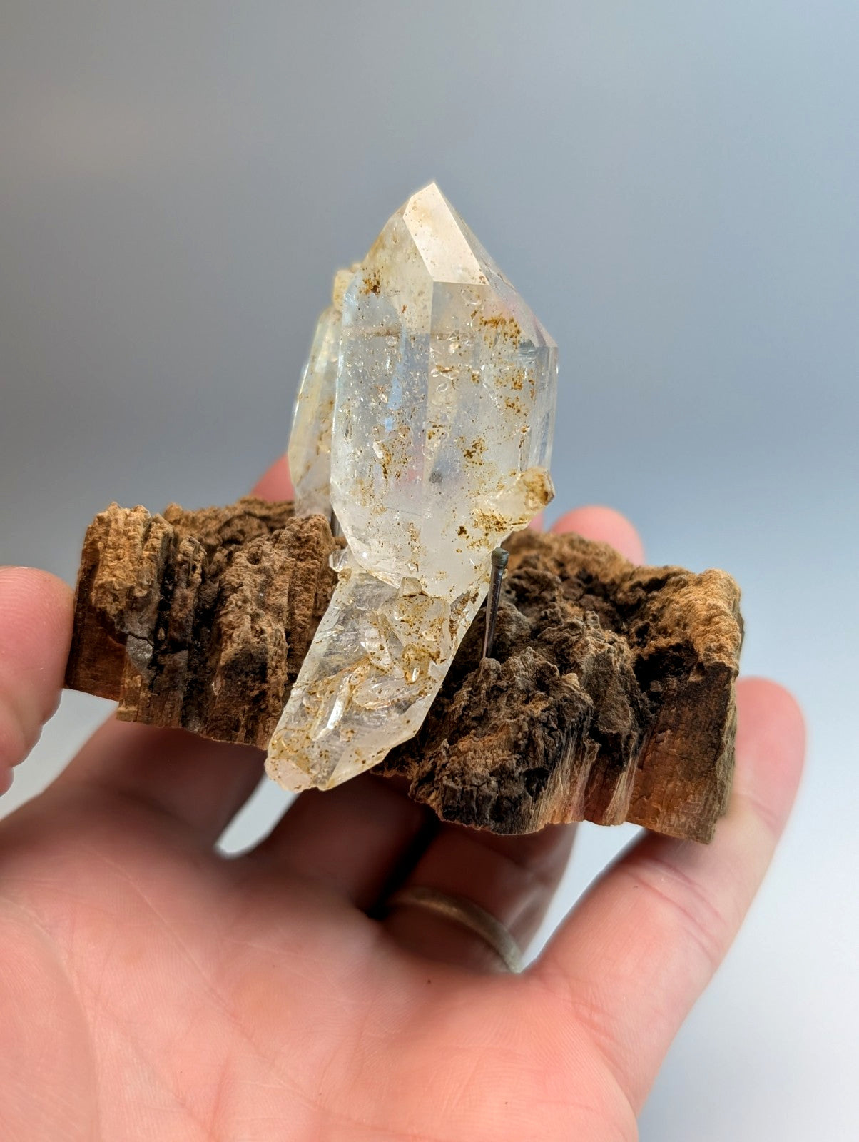 A+ museum grade clear quartz crystal cluster with golden inclusions on a rugged wood mount from Garland County Arkansas