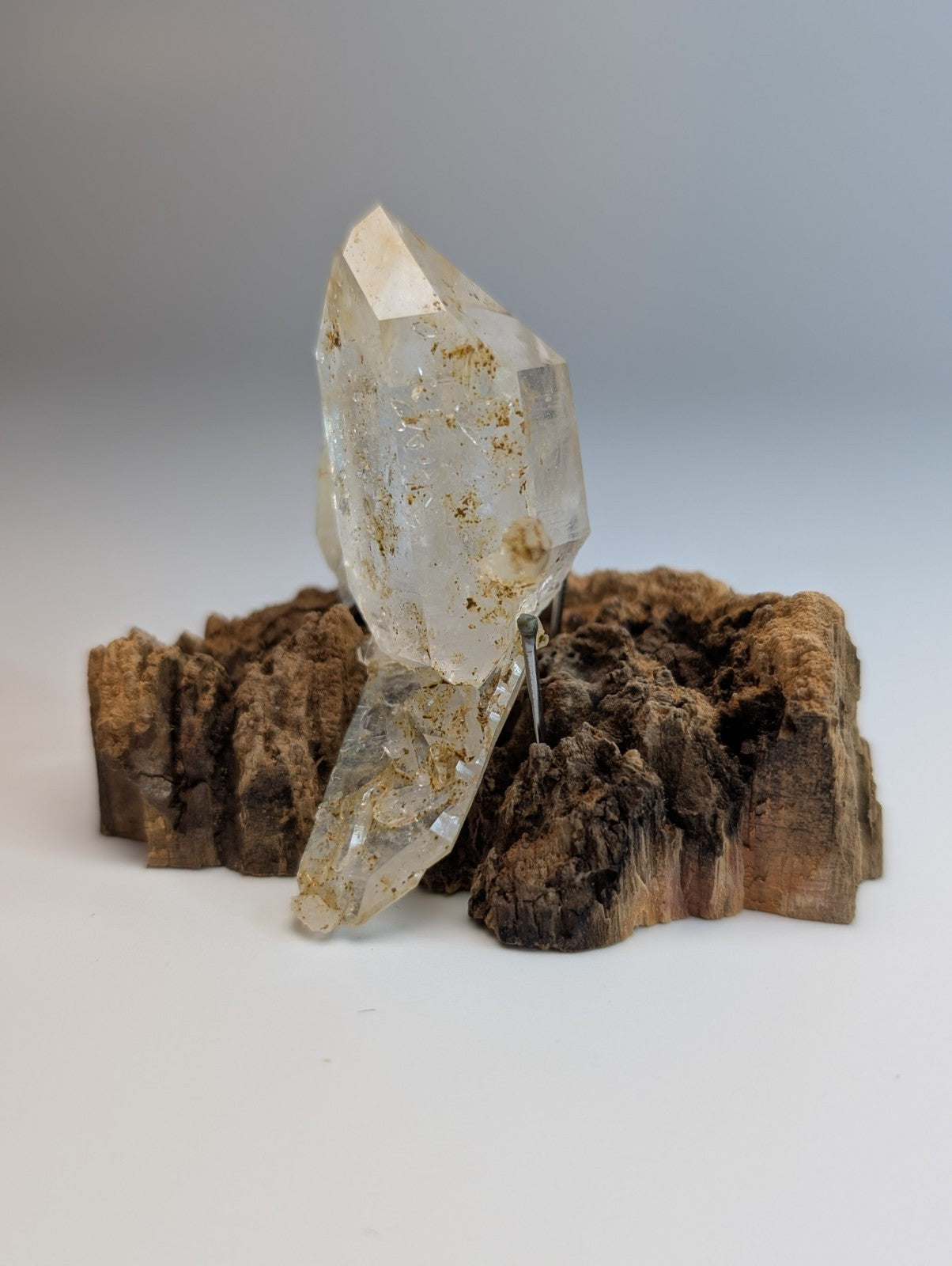A clear quartz crystal cluster with golden inclusions on a rustic wooden base from Garland County Arkansas