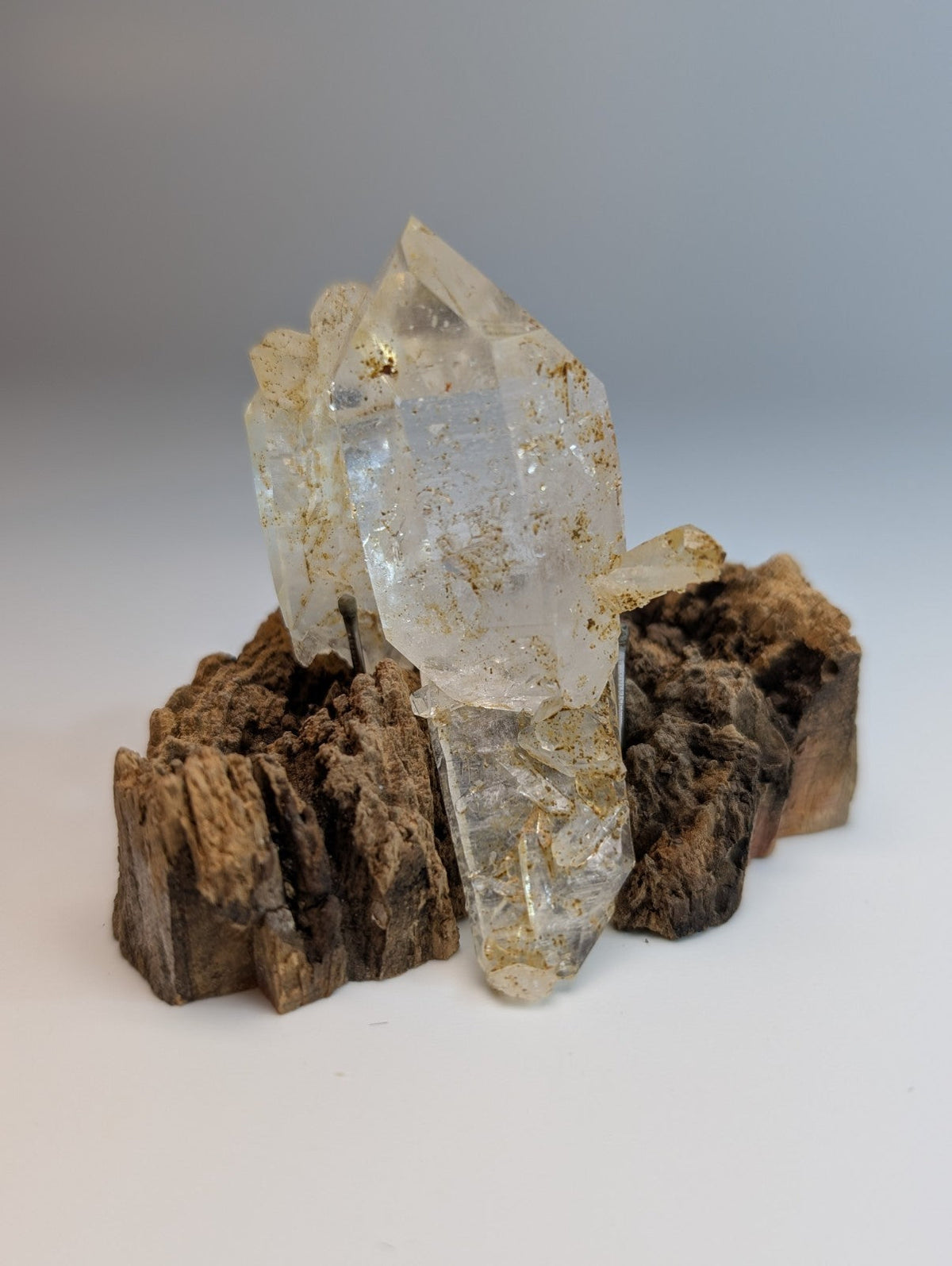 A plus museum grade clear quartz crystal cluster with golden inclusions on rugged brown rock wood mount from Arkansas