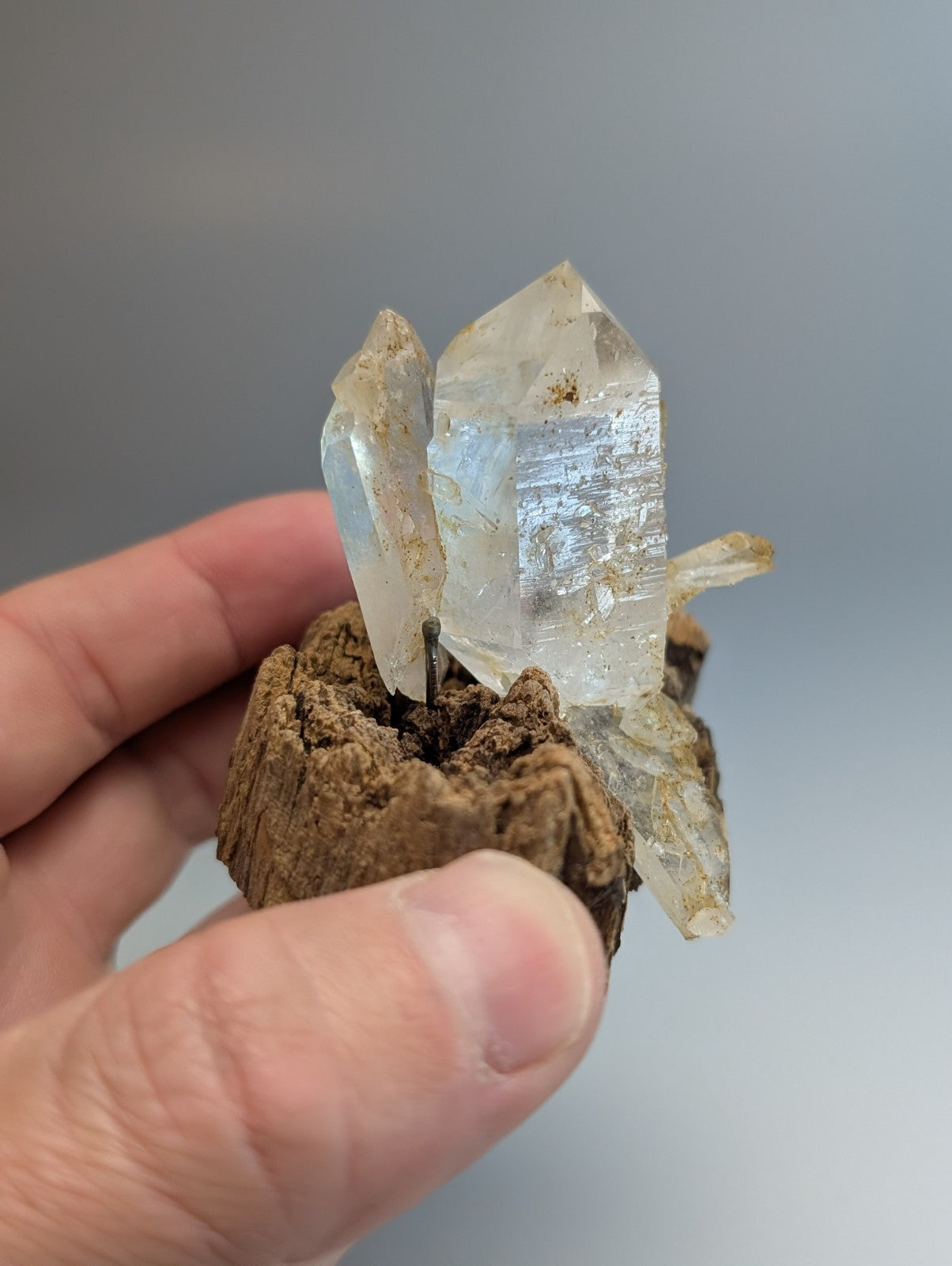 A clear quartz crystal cluster with a rough brown wooden base from garland county arkansas museum grade quality