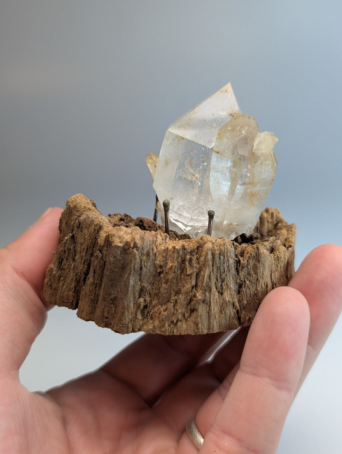 A clear faceted quartz crystal cluster mounted on a rustic wooden base from Garland County Arkansas