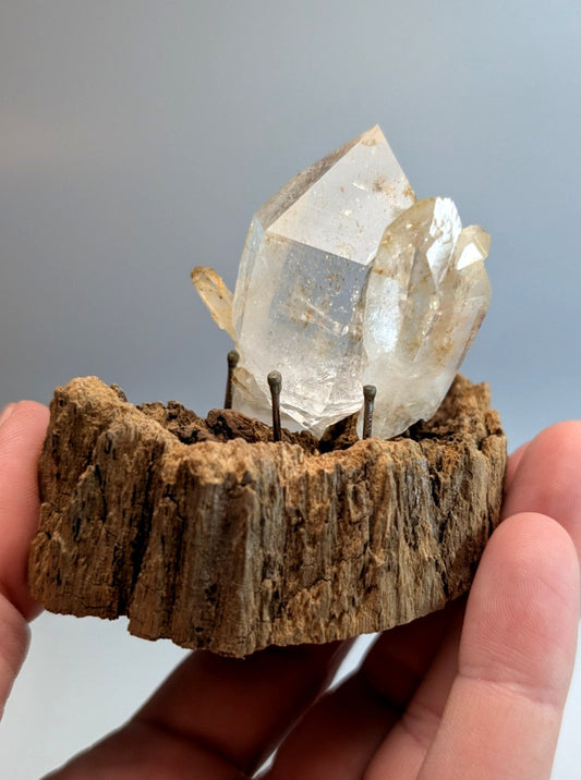 A clear faceted quartz crystal cluster mounted on a rustic wooden slice with nails from garland county arkansas