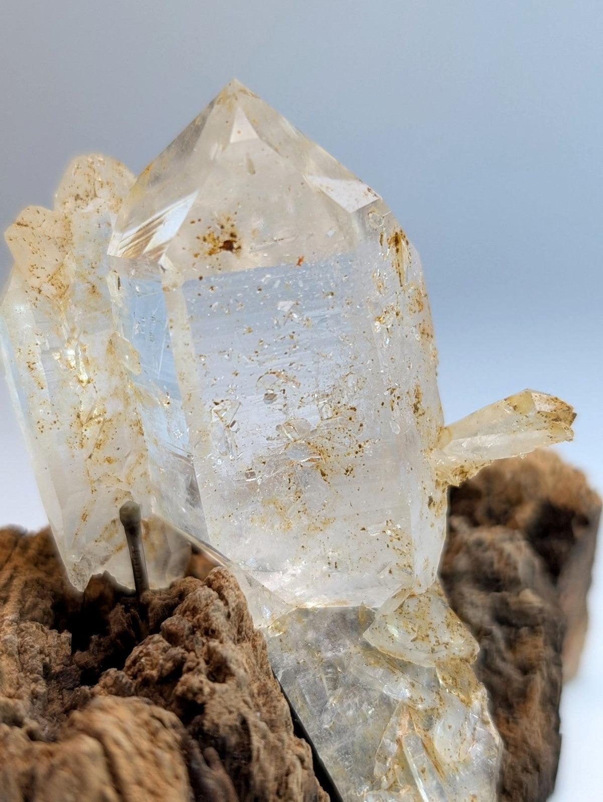 A translucent clear quartz crystal cluster with golden inclusions and a pointed faceted top on a wood mount from arkansas