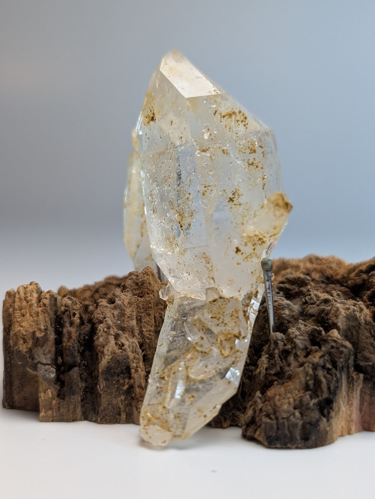 A plus museum grade clear quartz crystal cluster with golden inclusions on a wood mount from garland county arkansas