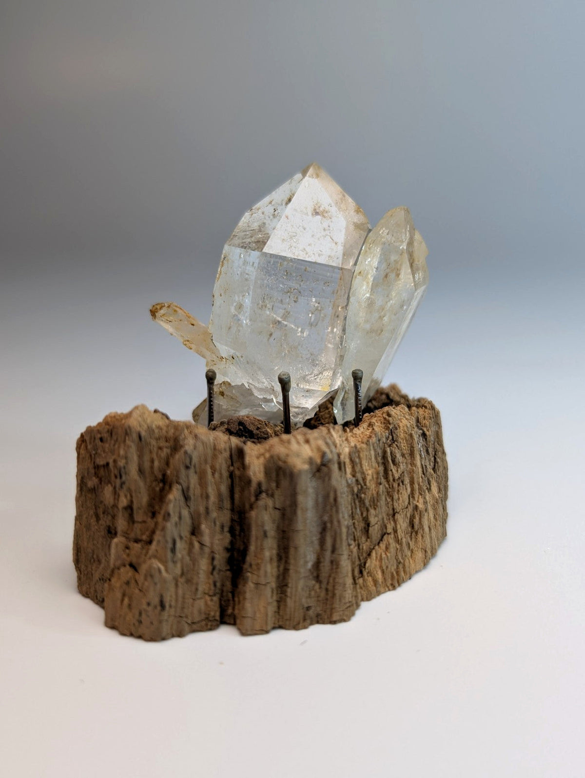 A clear quartz crystal cluster with white translucent points mounted on a rustic wooden base from garland county arkansas