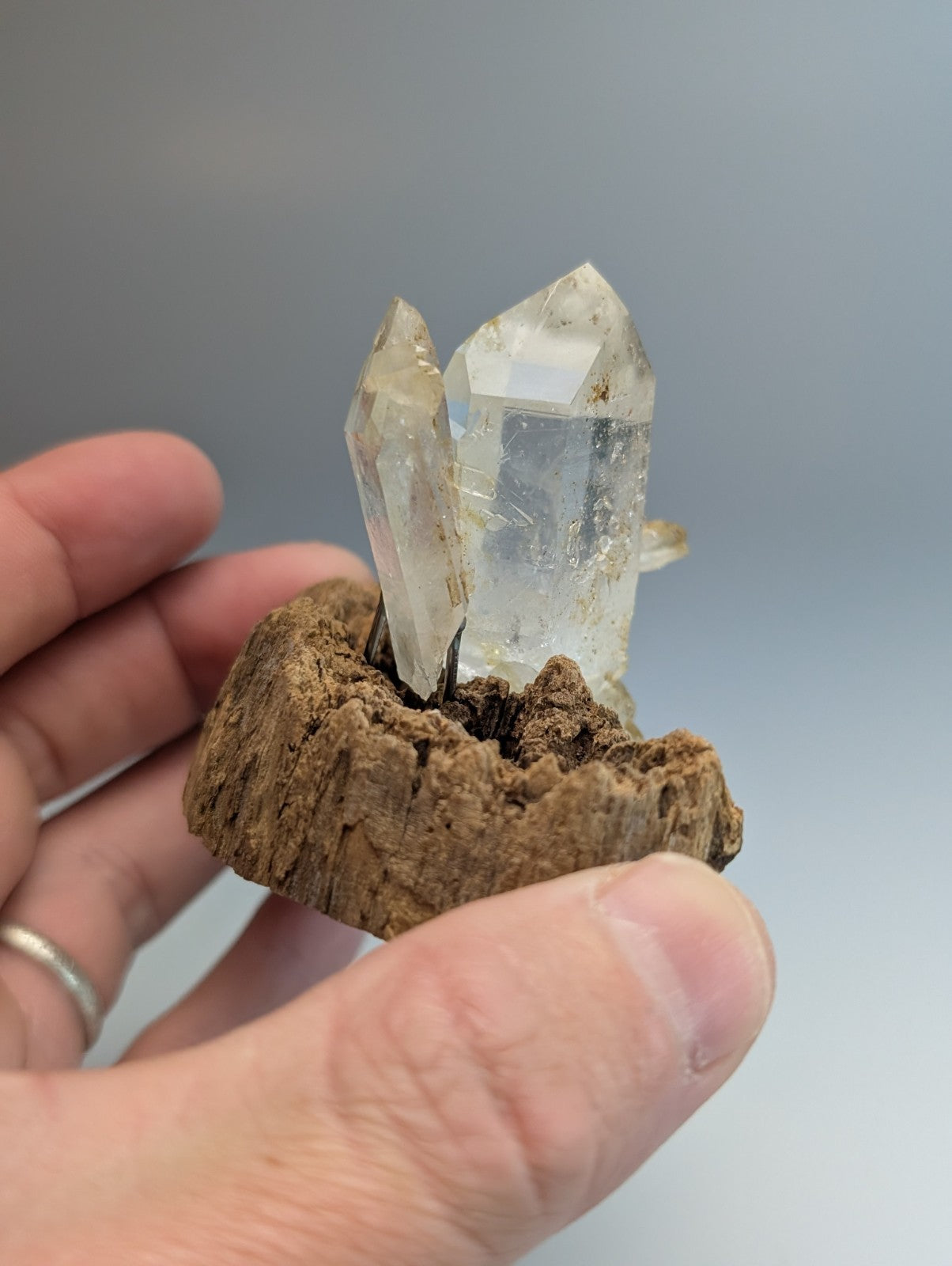 A clear quartz crystal cluster mounted on a rustic brown cork base from garland county arkansas