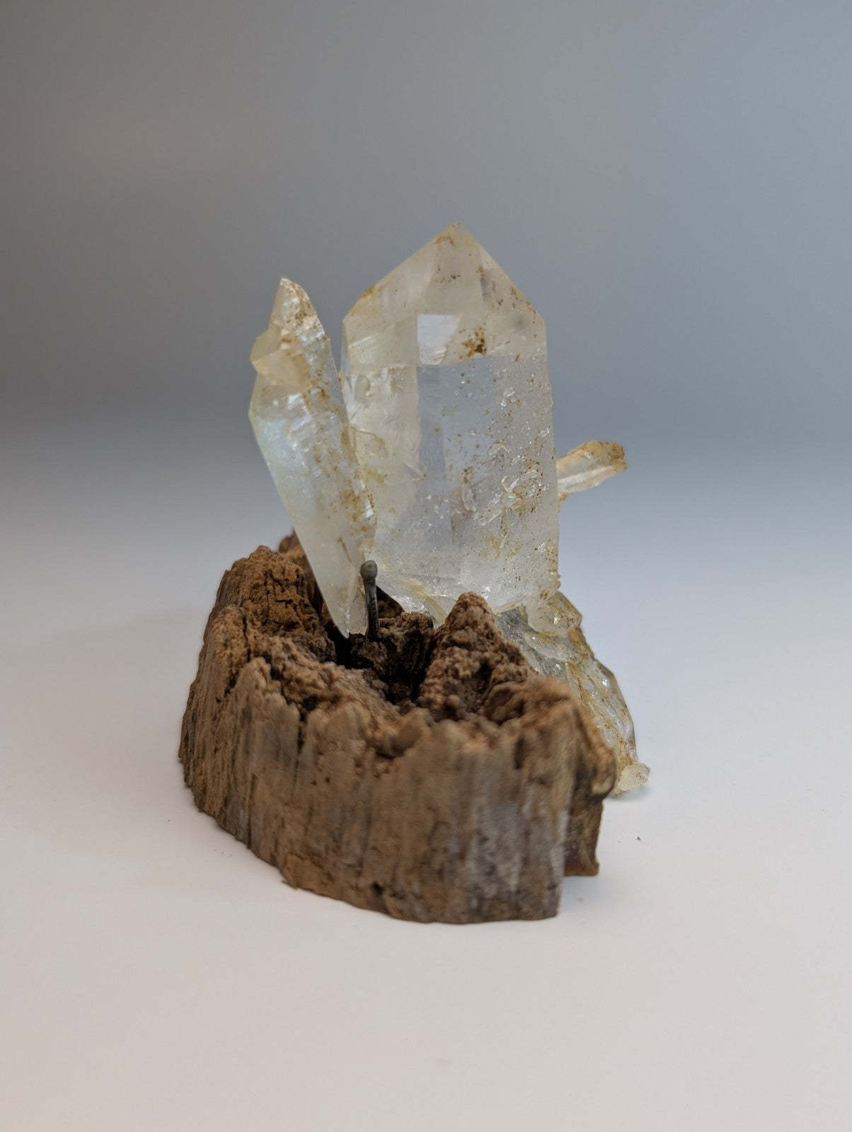 Clear quartz crystal cluster with white crystals on a rugged brown wooden base from garland county arkansas