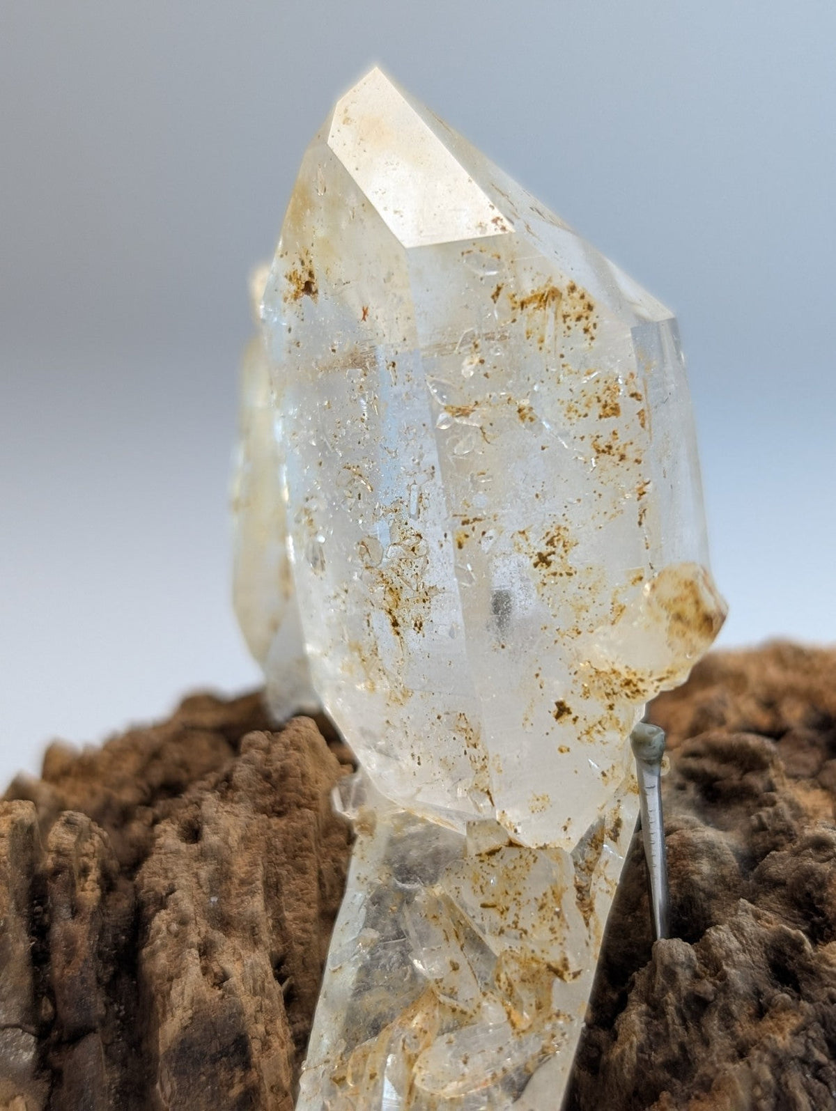 A translucent clear quartz crystal cluster with natural brown inclusions and faceted points on a wood mount from garland county arkansas