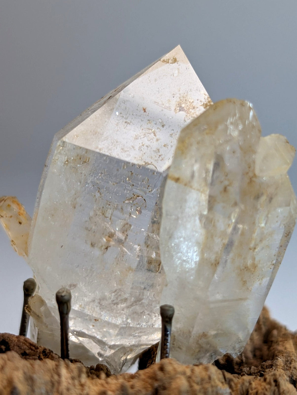 A translucent clear quartz crystal cluster with natural inclusions and a wood mount from garland county arkansas