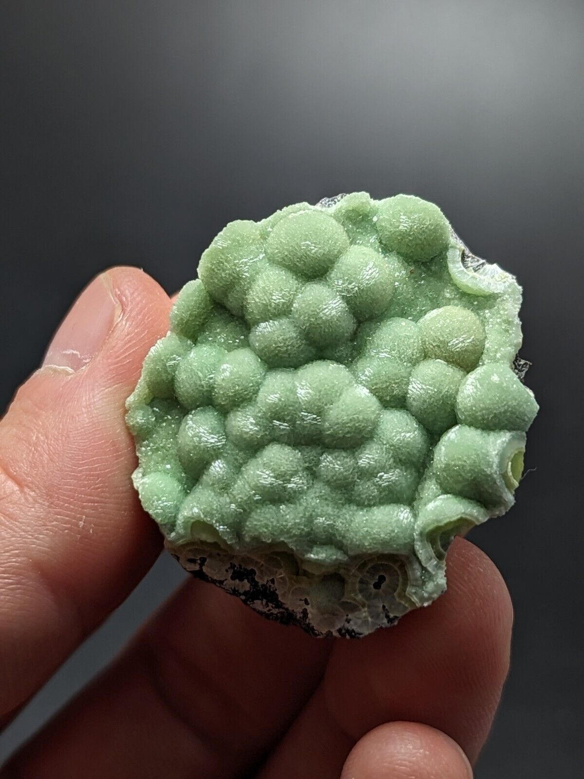A + + + Museum Grade Wavellite - Fantastic Old Stock - Mauldin Mountain Arkansas - Collectibles:Rocks Fossils &