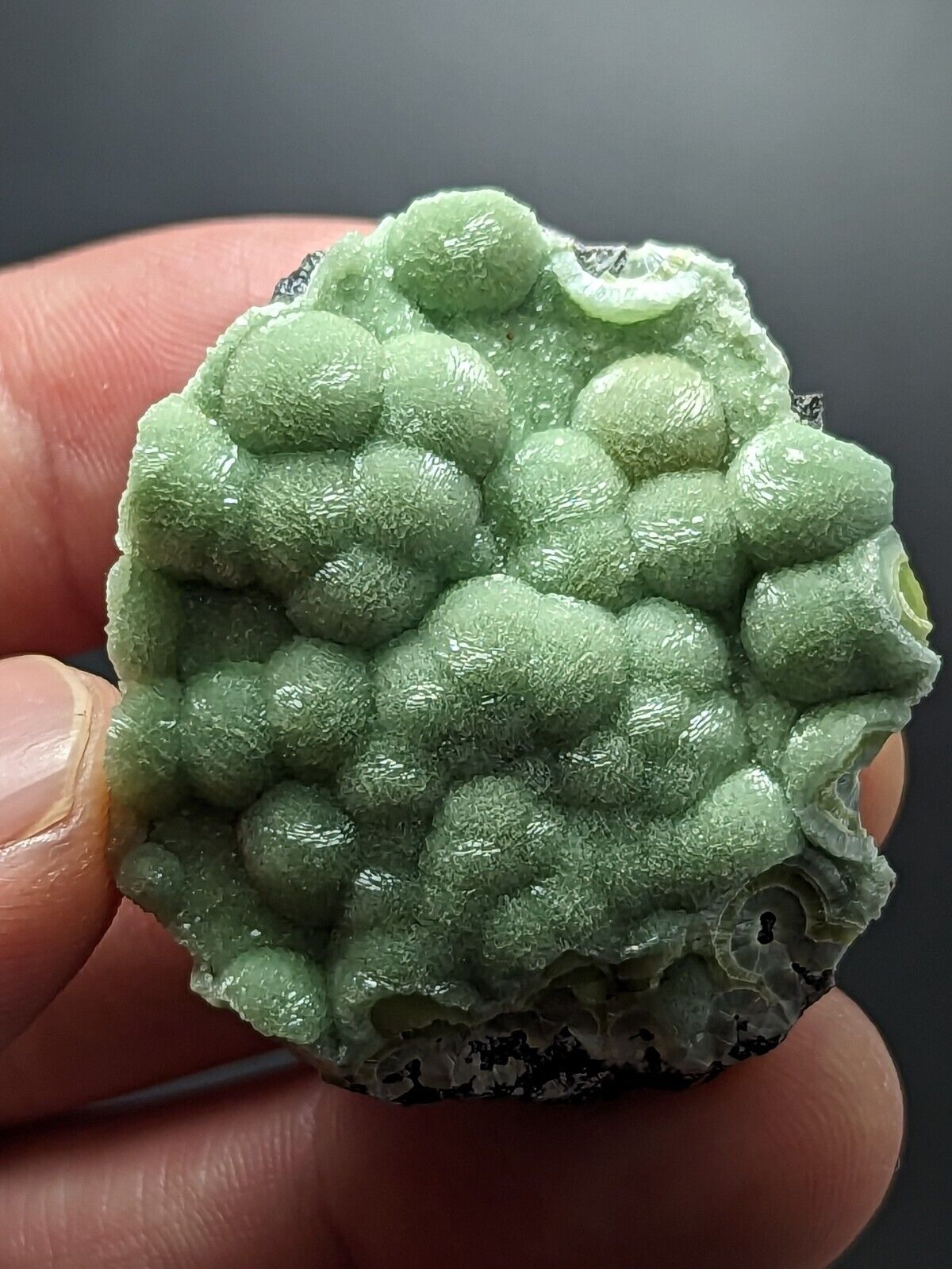 A + + + Museum Grade Wavellite - Fantastic Old Stock - Mauldin Mountain Arkansas - Collectibles:Rocks Fossils &