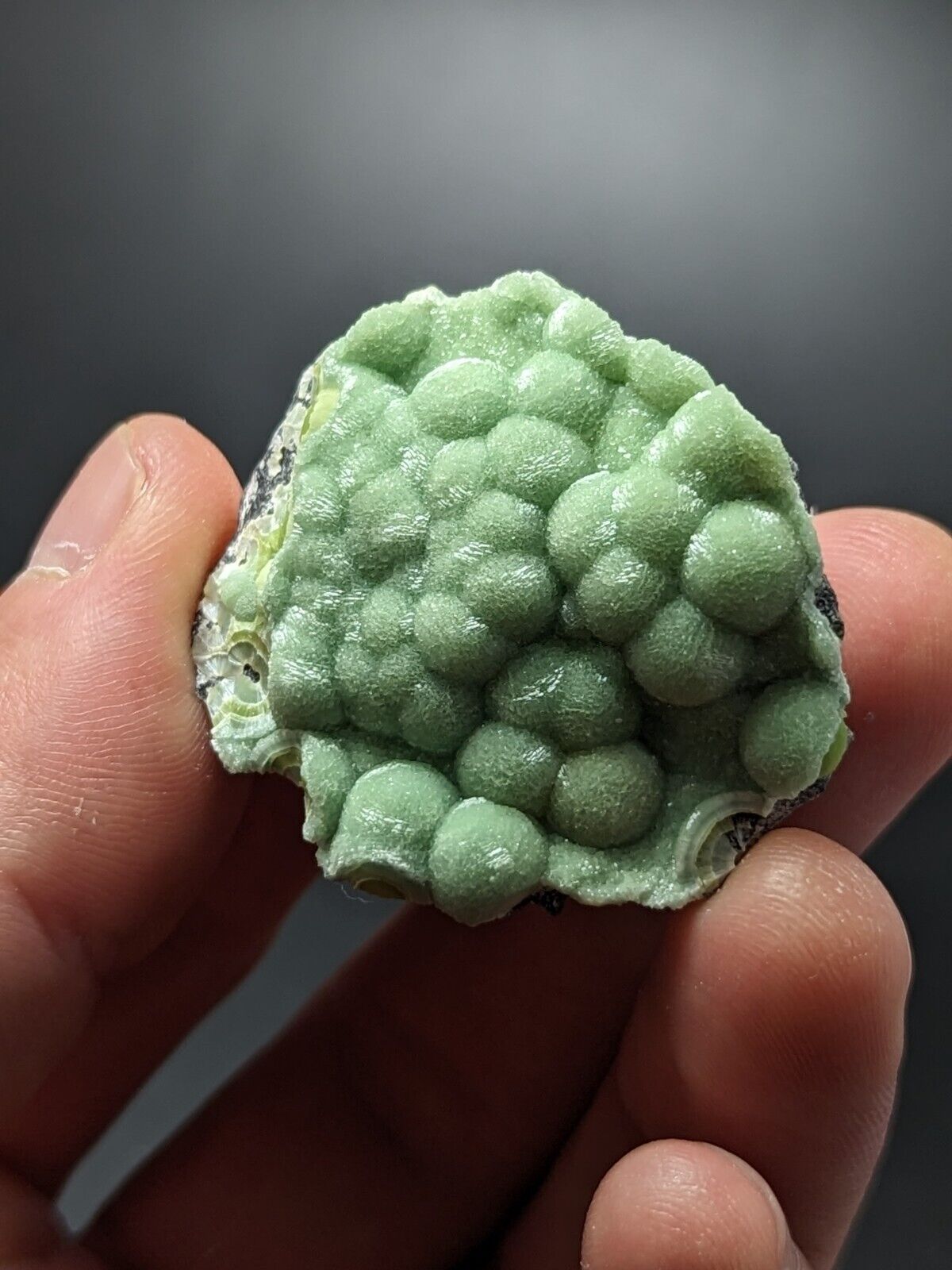 A + + + Museum Grade Wavellite - Fantastic Old Stock - Mauldin Mountain Arkansas - Collectibles:Rocks Fossils &