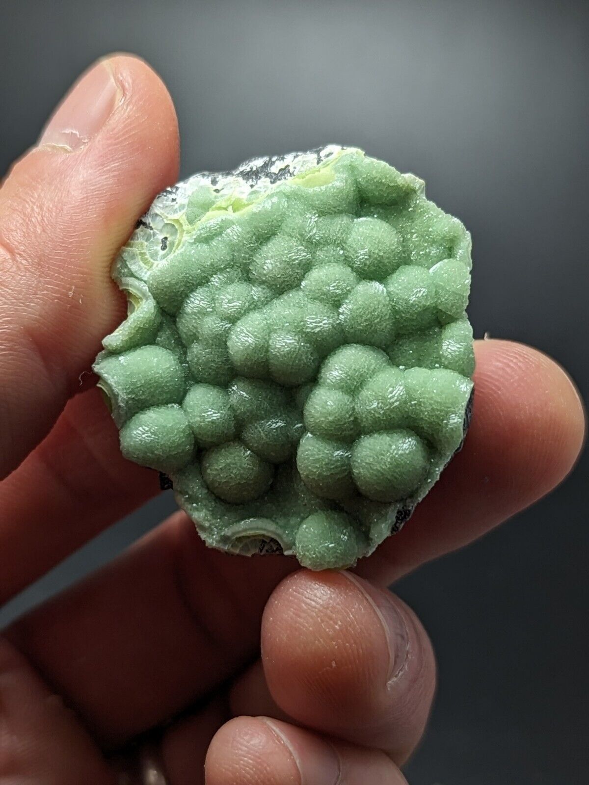 A + + + Museum Grade Wavellite - Fantastic Old Stock - Mauldin Mountain Arkansas - Collectibles:Rocks Fossils &