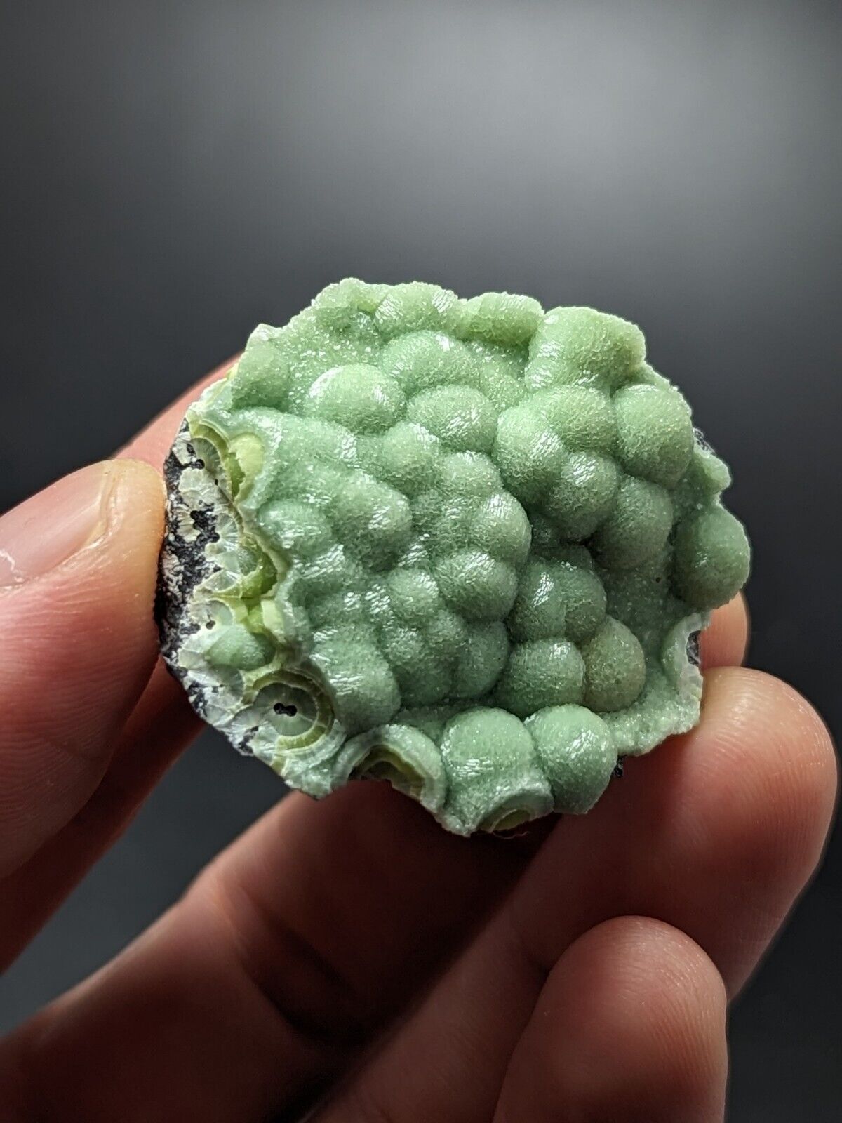 A + + + Museum Grade Wavellite - Fantastic Old Stock - Mauldin Mountain Arkansas - Collectibles:Rocks Fossils &