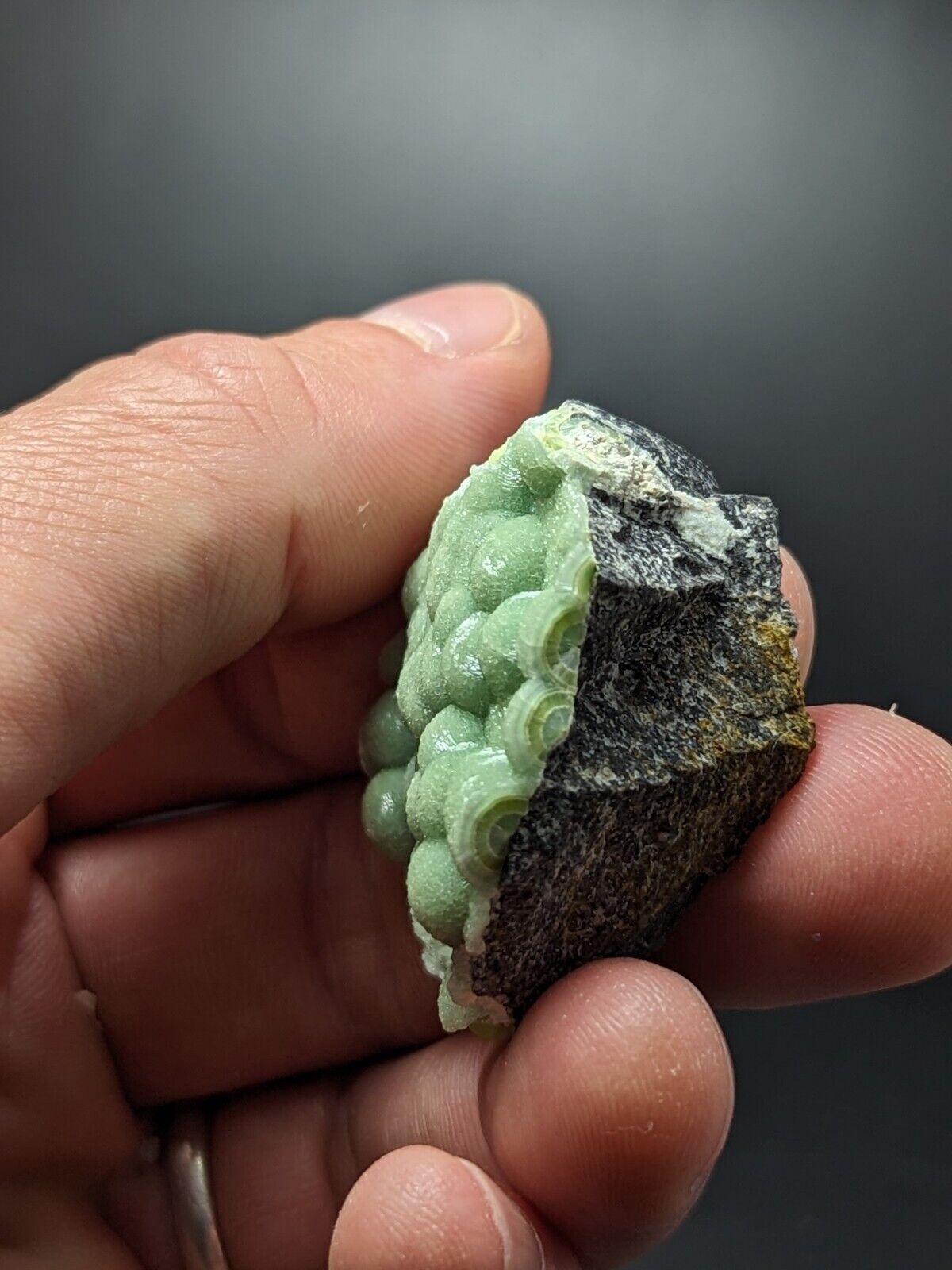 A + + + Museum Grade Wavellite - Fantastic Old Stock - Mauldin Mountain Arkansas - Collectibles:Rocks Fossils &