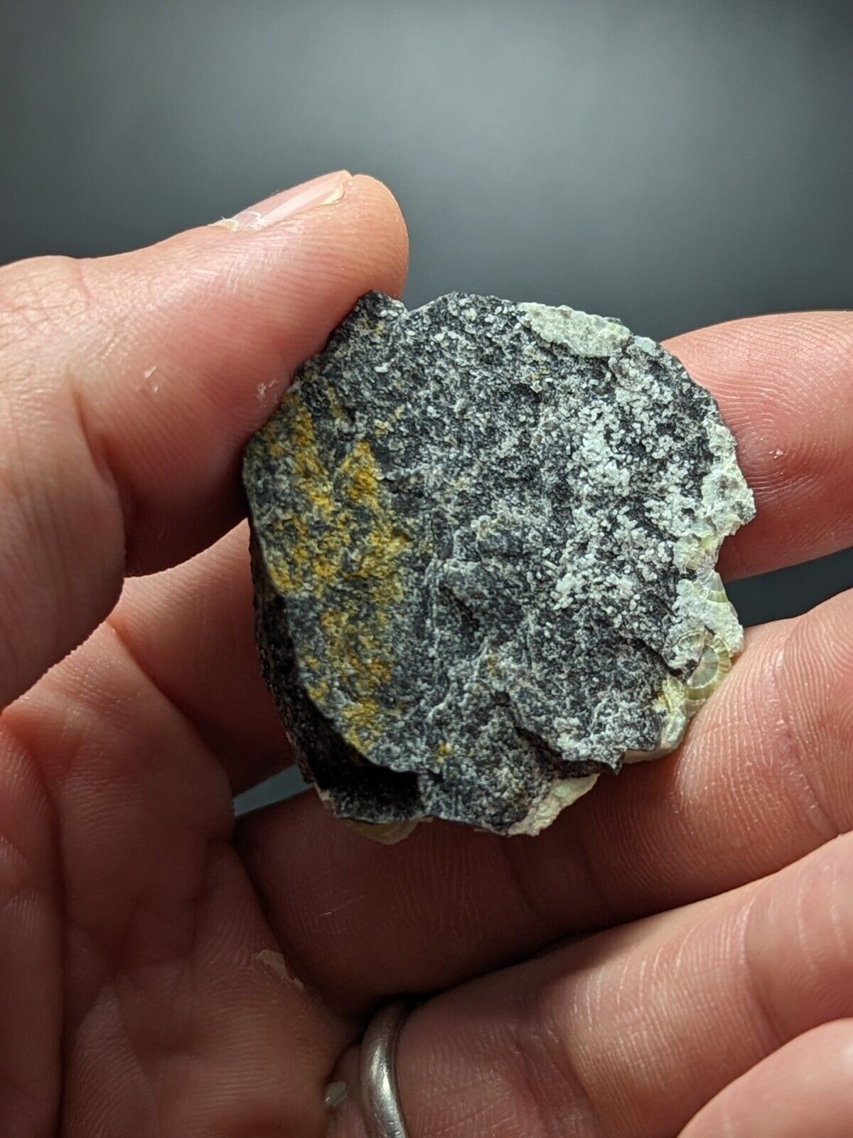A + + + Museum Grade Wavellite - Fantastic Old Stock - Mauldin Mountain Arkansas - Collectibles:Rocks Fossils &