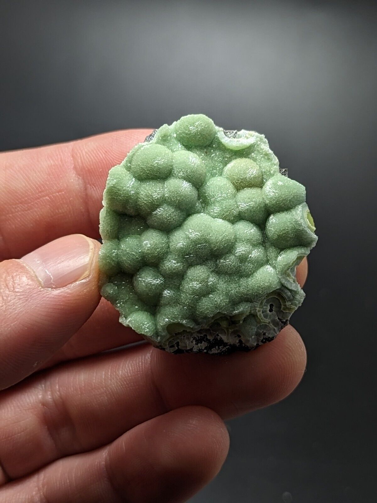 A + + + Museum Grade Wavellite - Fantastic Old Stock - Mauldin Mountain Arkansas - Collectibles:Rocks Fossils &