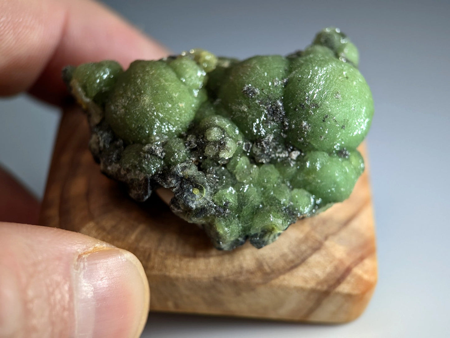 A vibrant green bubbly museum grade wavellite mineral with dark speckled accents on a handmade wood mount from montgomery county arkansas