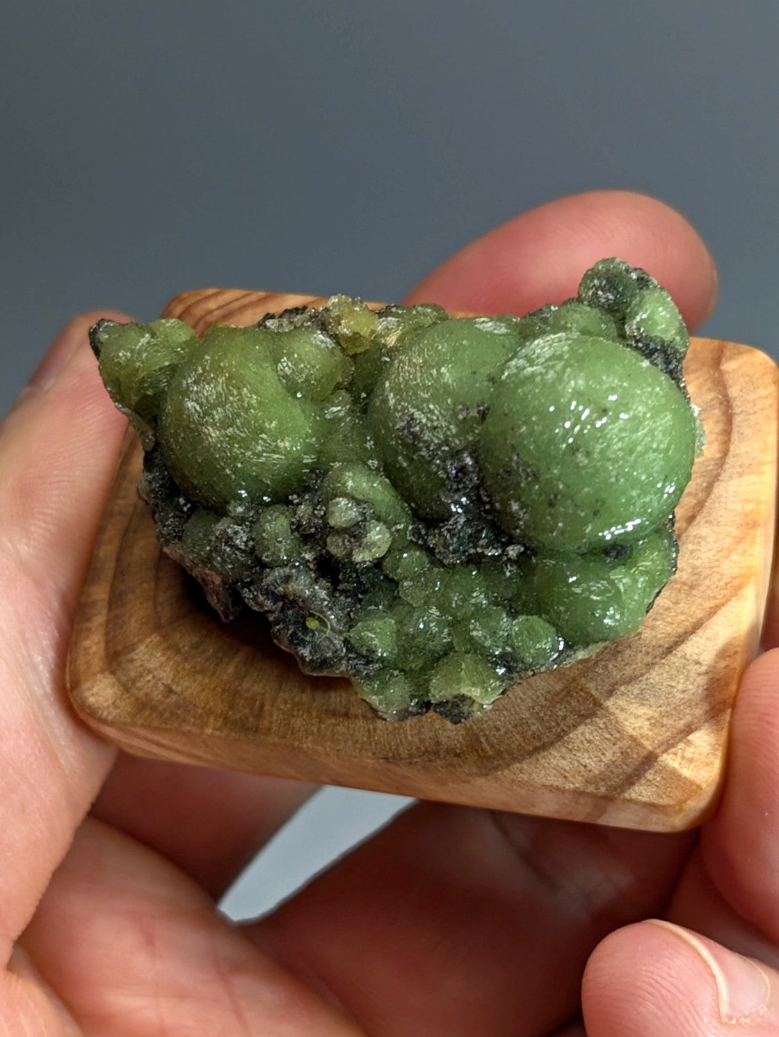 A vibrant green bubbly wavellite mineral with glossy spheres on a handmade wooden mount from Montgomery County Arkansas