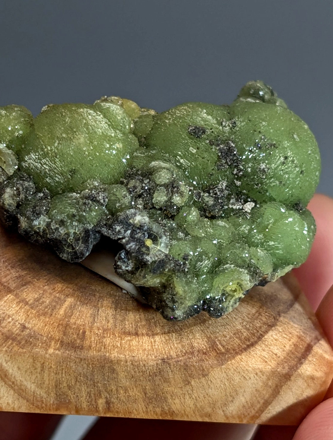 A+++ museum grade wavellite with vibrant green bubbly mineral and dark veining on a handmade wood mount from Arkansas