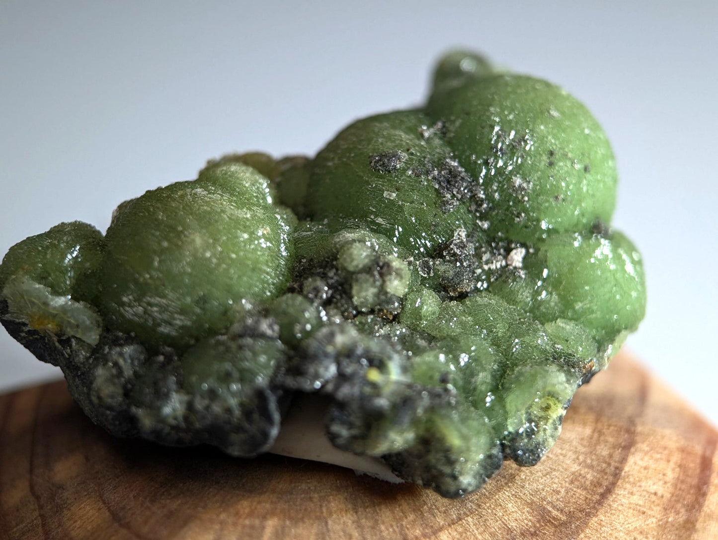 A+++ museum grade wavellite mineral with vibrant green glossy bubble formations and dark speckled accents on a wood mount