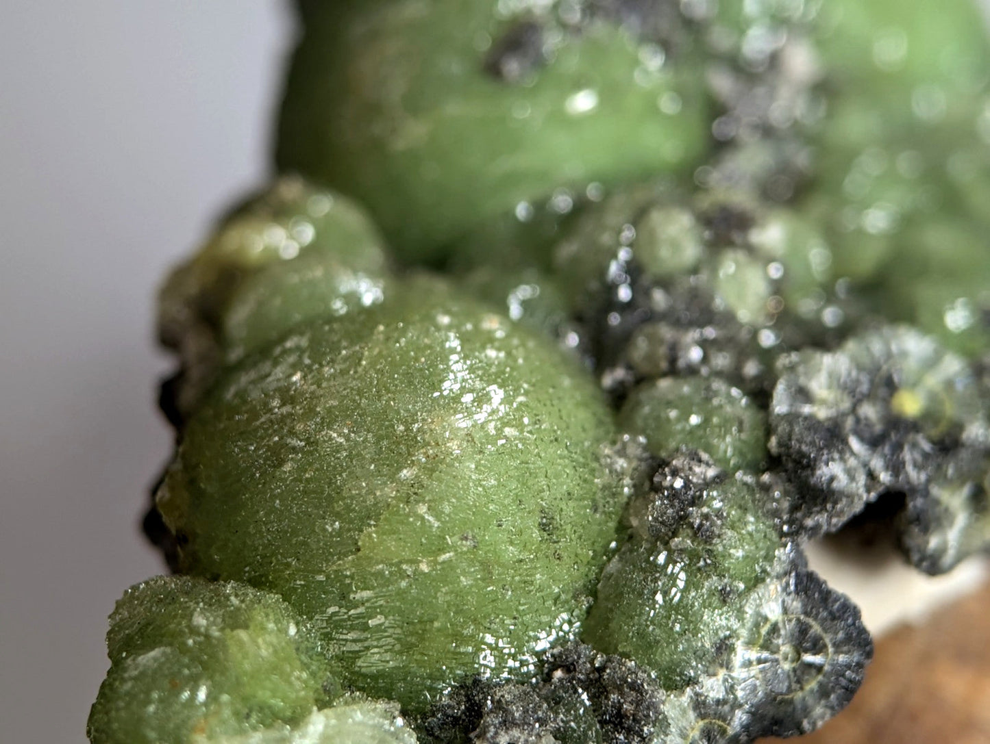 A cluster of vibrant green glossy wavellite mineral crystals with rough texture on dark gray matrix mounted on wood