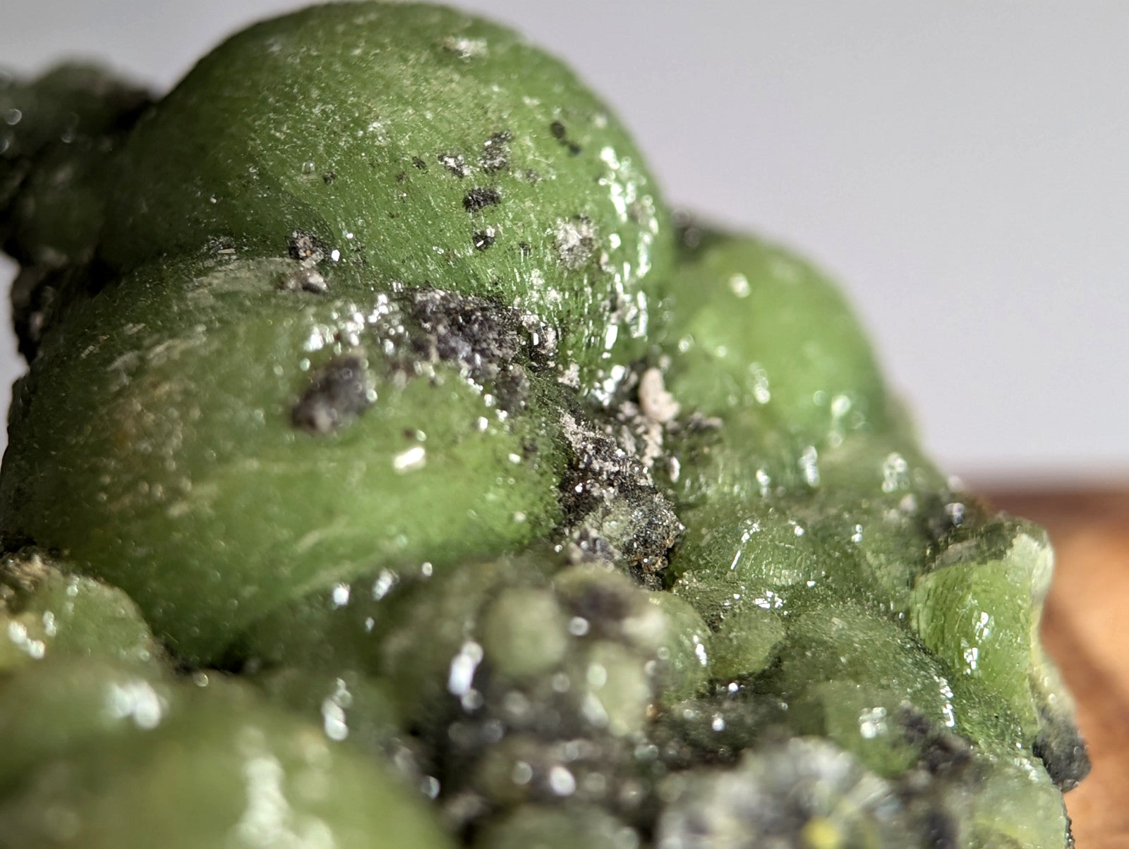 A glossy vibrant green A+++ museum grade wavellite with rounded formations and speckled dark inclusions on a wood mount