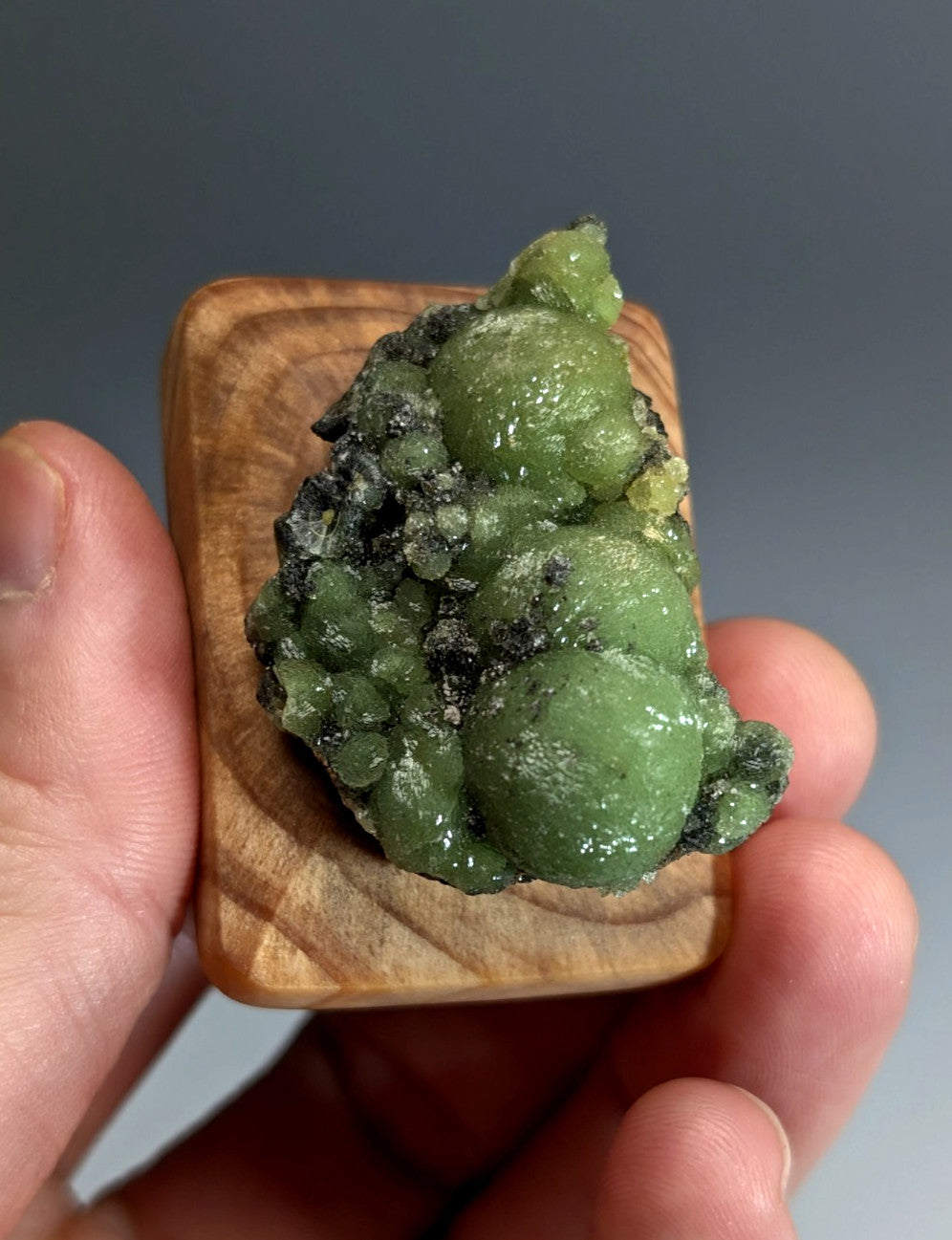 A+++ museum grade vibrant green bubbly wavellite with dark speckles on a handmade wood mount from Arkansas