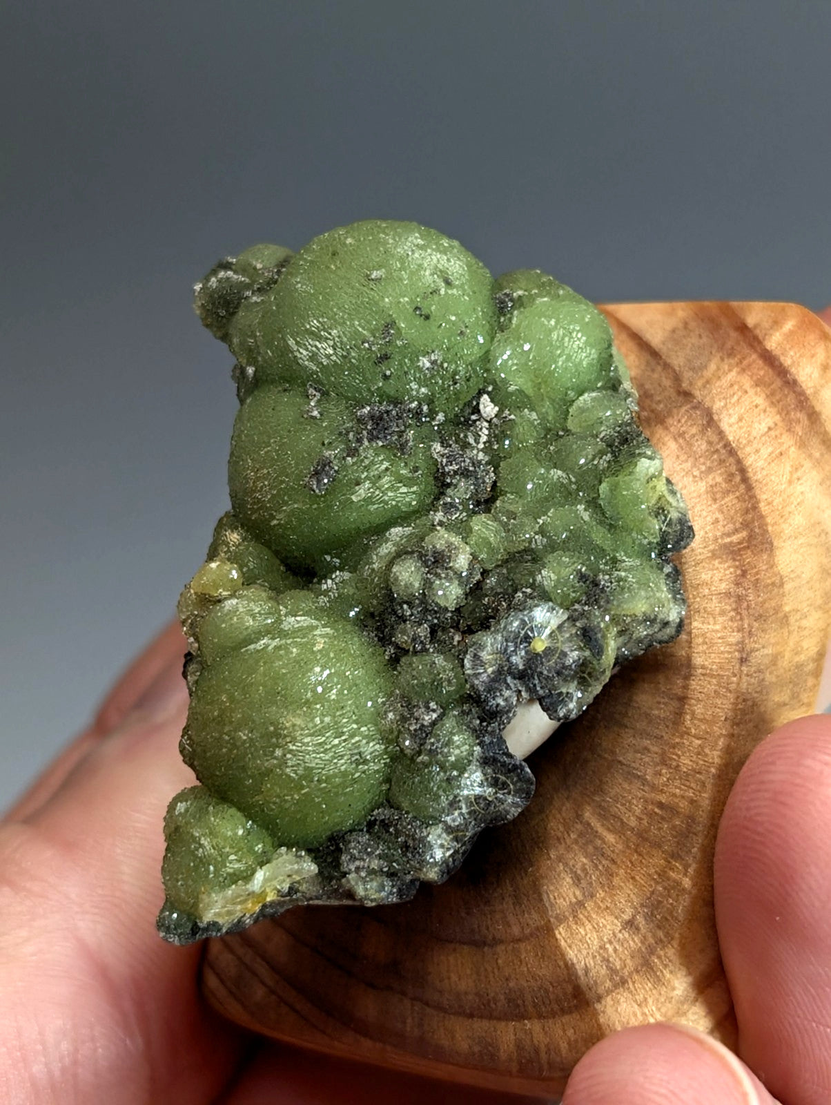 A vibrant green bubbly a plus plus museum grade wavellite mineral with dark speckles on a handmade wood mount from arkansas