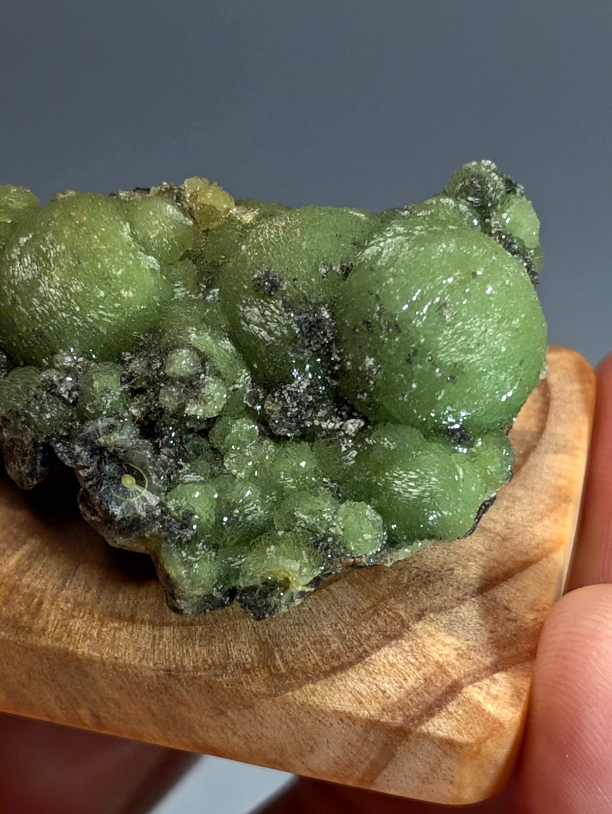 A+++ museum grade wavellite mineral in vibrant green with glossy surface on dark speckled matrix with handmade wood mount