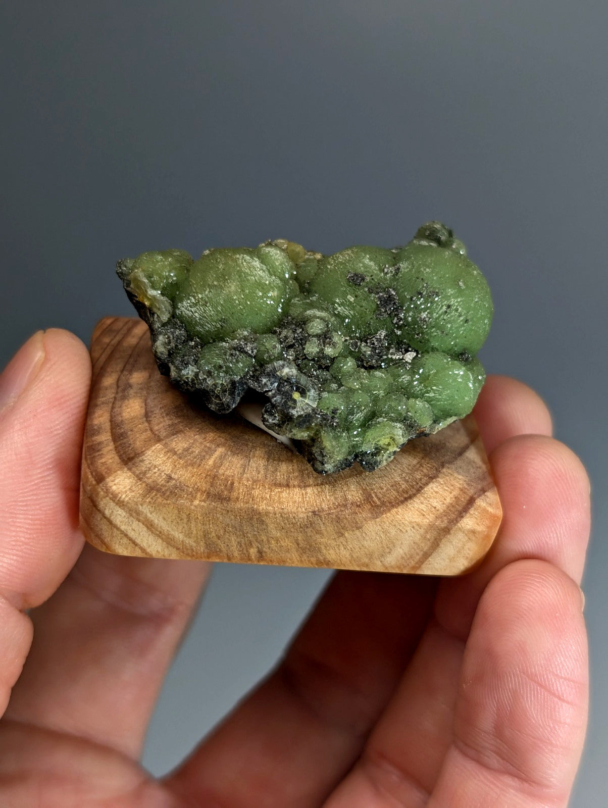 A vibrant green bumpy museum grade wavellite mineral with dark speckles on a handmade wood mount from Arkansas