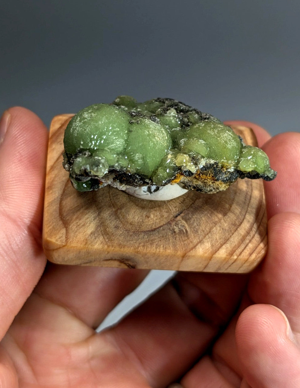 A vibrant green bumpy museum grade wavellite mineral on a dark matrix with a handmade wood mount from Arkansas